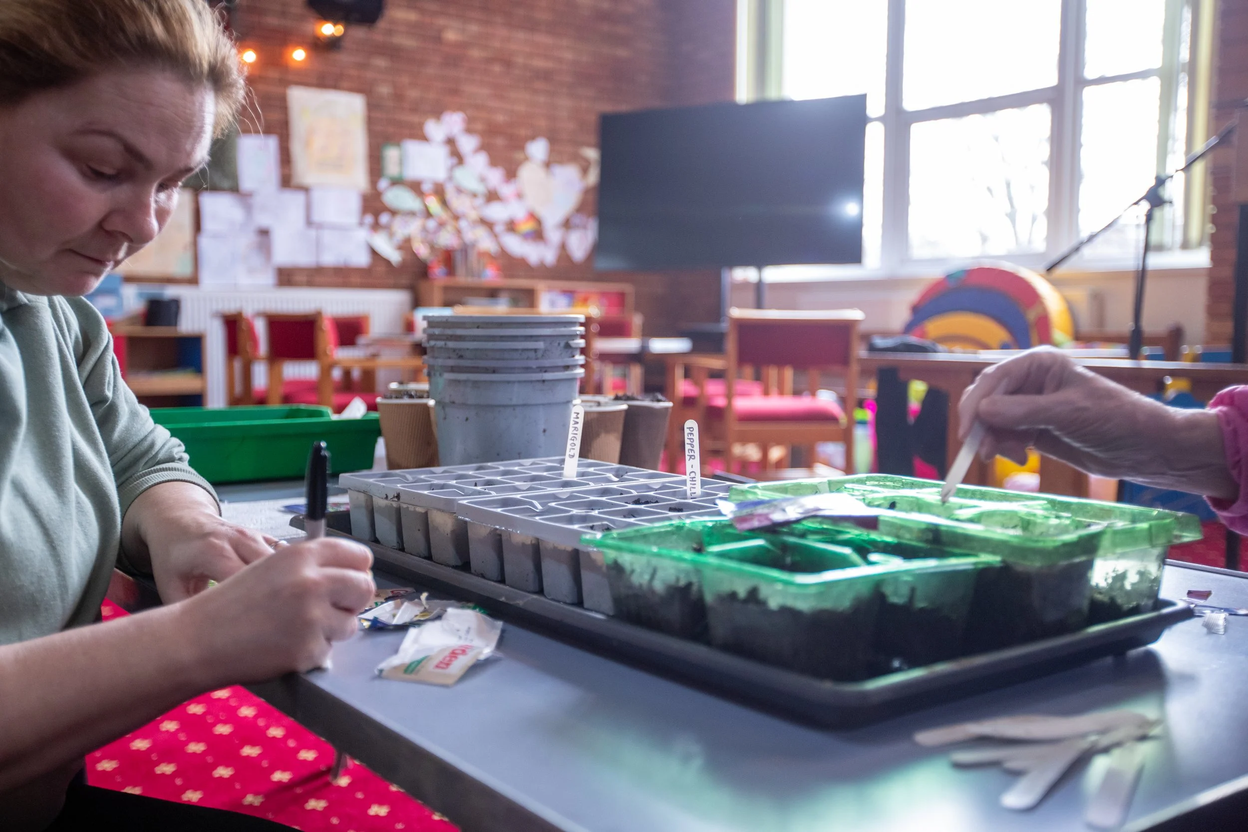 A woman in a greenish-gray shirt and red polka-dotted pants working on planting seeds in small pots in a classroom with books and artwork on brick walls and large windows letting in natural light.