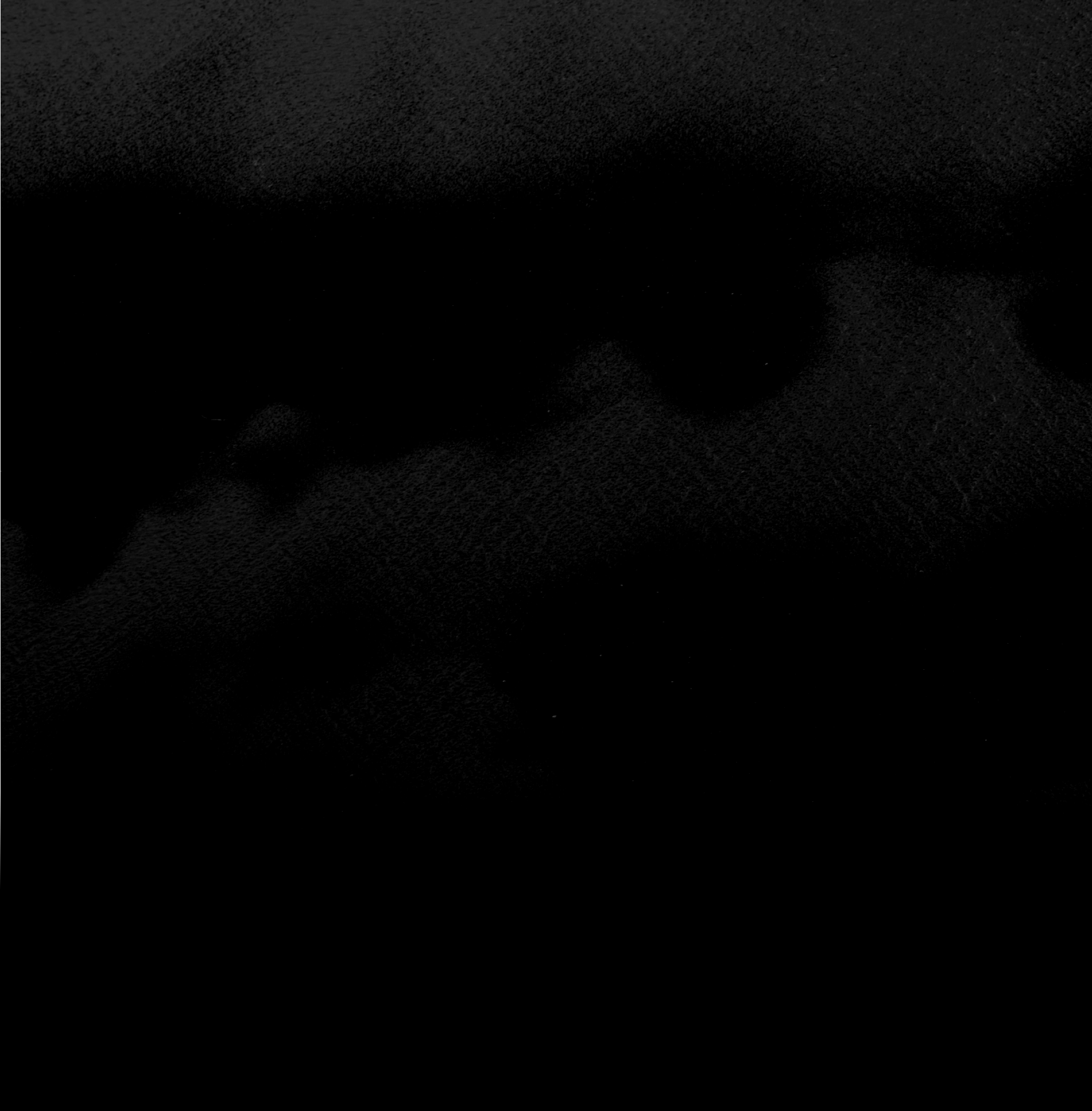 Close-up of black stuffed animal, possibly a dog, with textured fabric and visible nose.