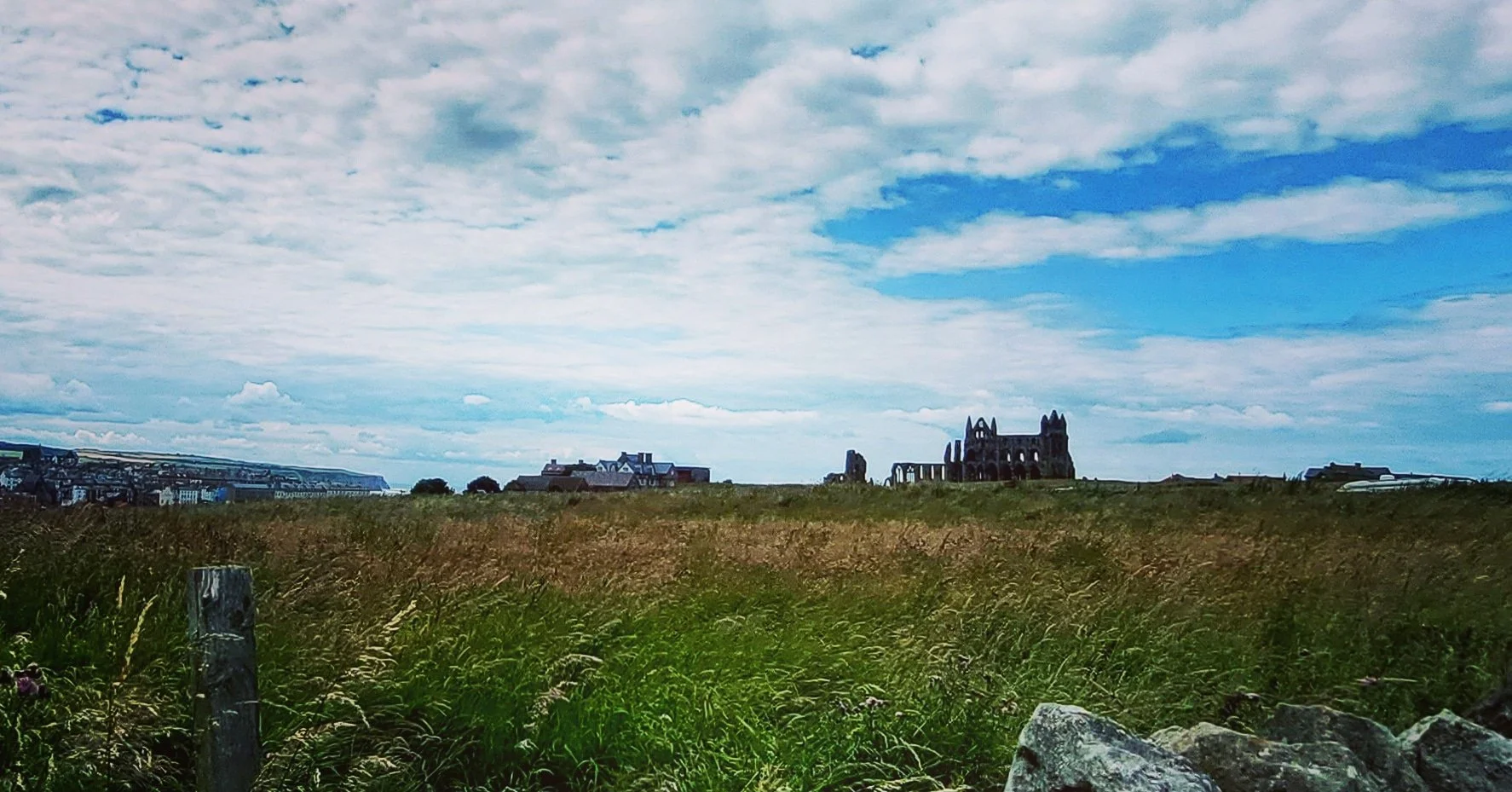 A photo of Whitby, North Yorkshire, depicting open field with green grass and wildflowers, stone ruins of Whitby Abbey in the background, under a partly cloudy sky.