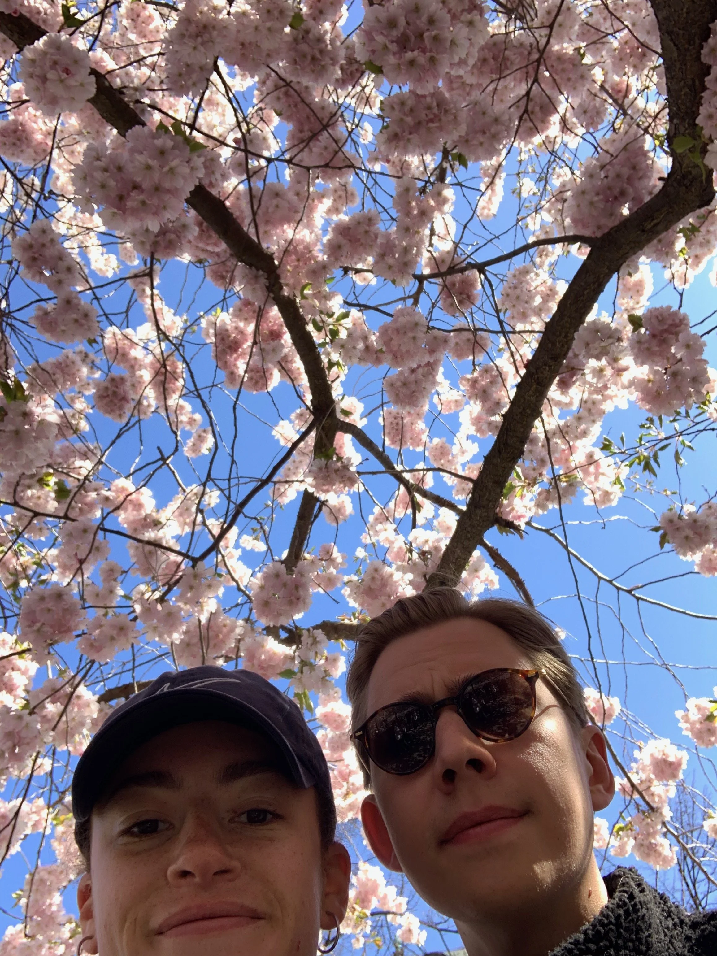 Kungsträdgården 2023