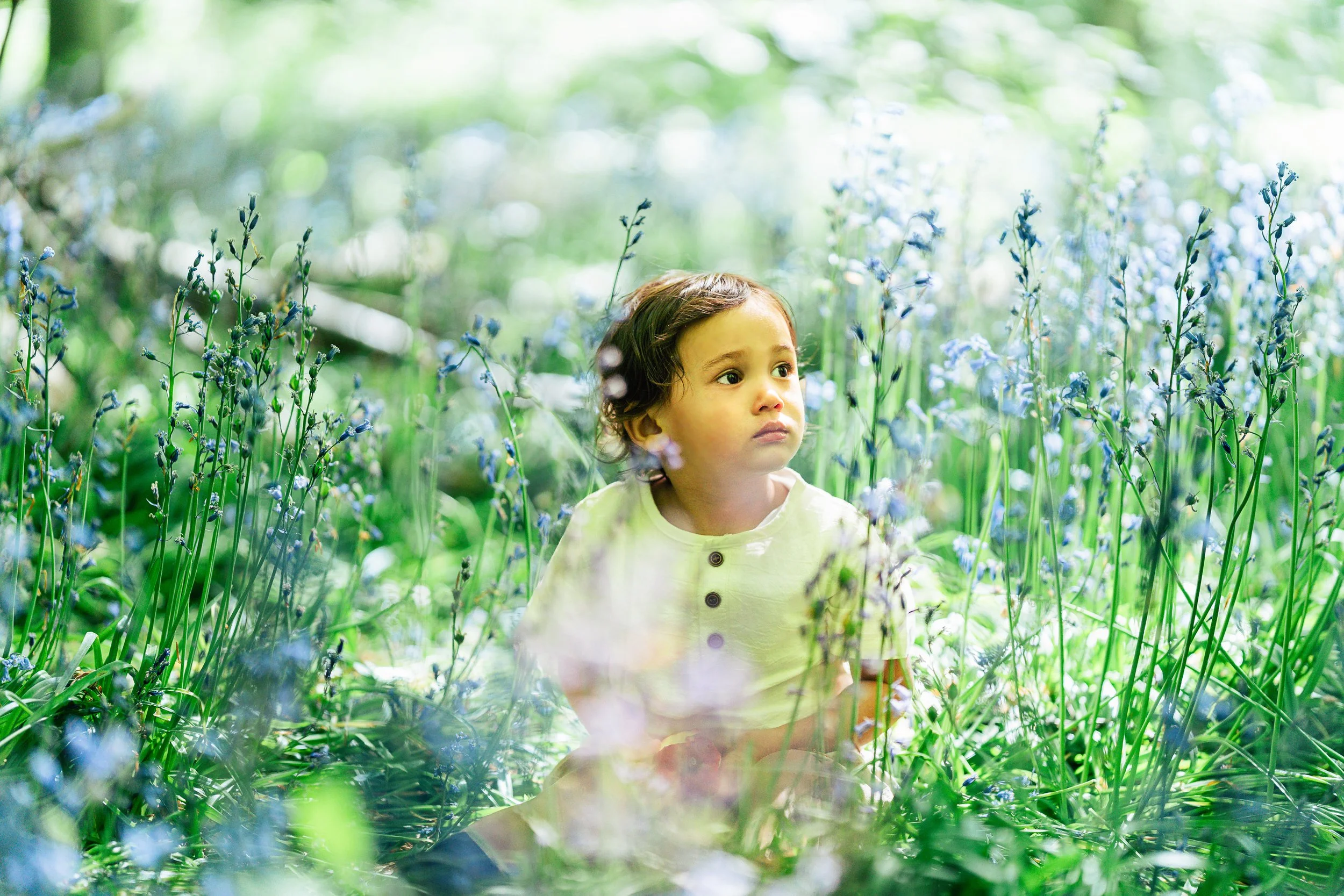 Young boy with brown hair sitting among tall blue and purple flowers in a lush green forest