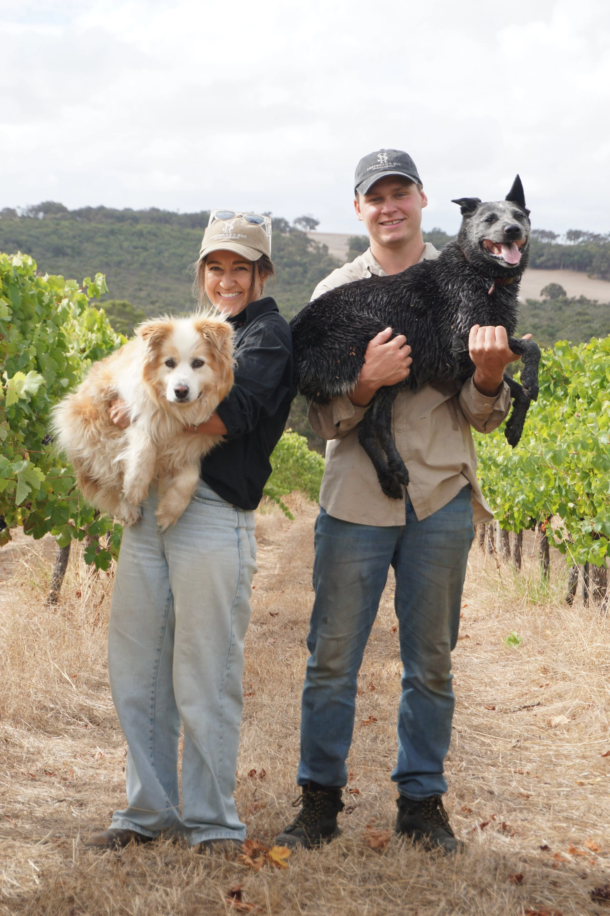 A man (Vineyard Manager) and woman (Vineyard Owner) stand outdoors in the Shepherd's Hut vineyard in Western Australia's Great Southern wine region. Each is holding their dog in Porongurup. Rolling hills obscure the Stirling Ranges in the background.