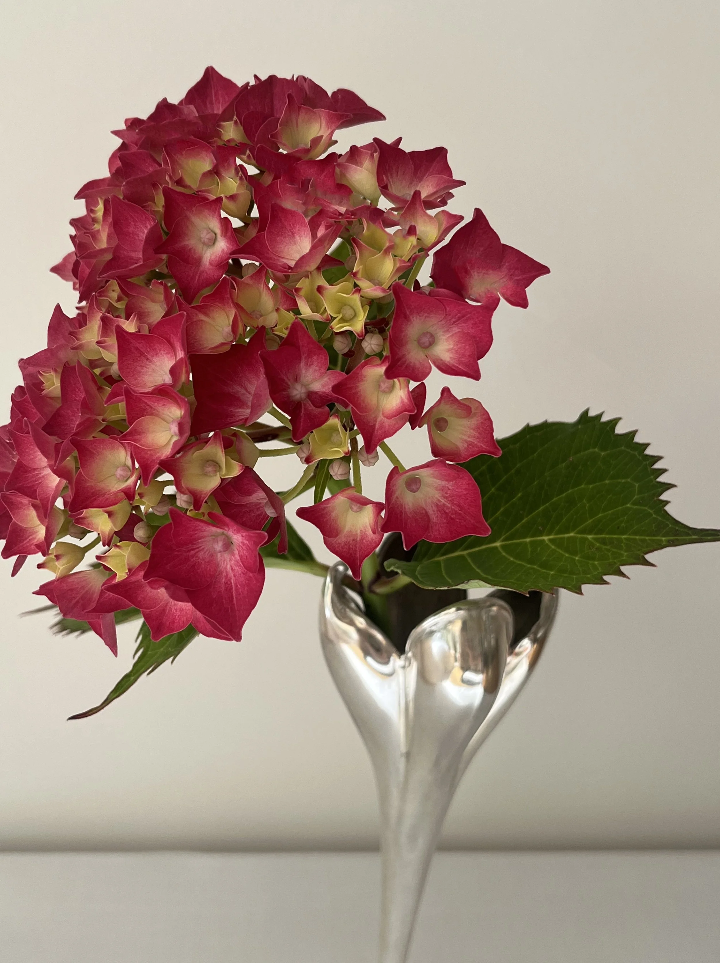 MID-CENTURY ART NOUVEAU SILVER BUD VASE CLOSE UP WITH FLOWER.jpg