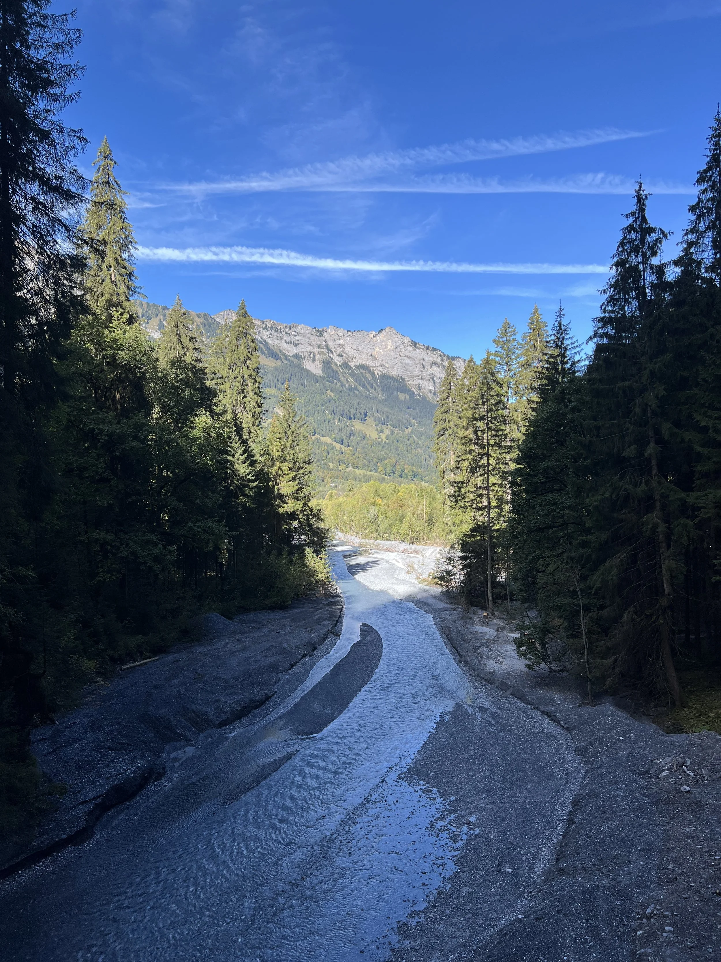 Bergbach durch einen Nadelwald mit felsigem Alpenmassiv und blauem Himmel