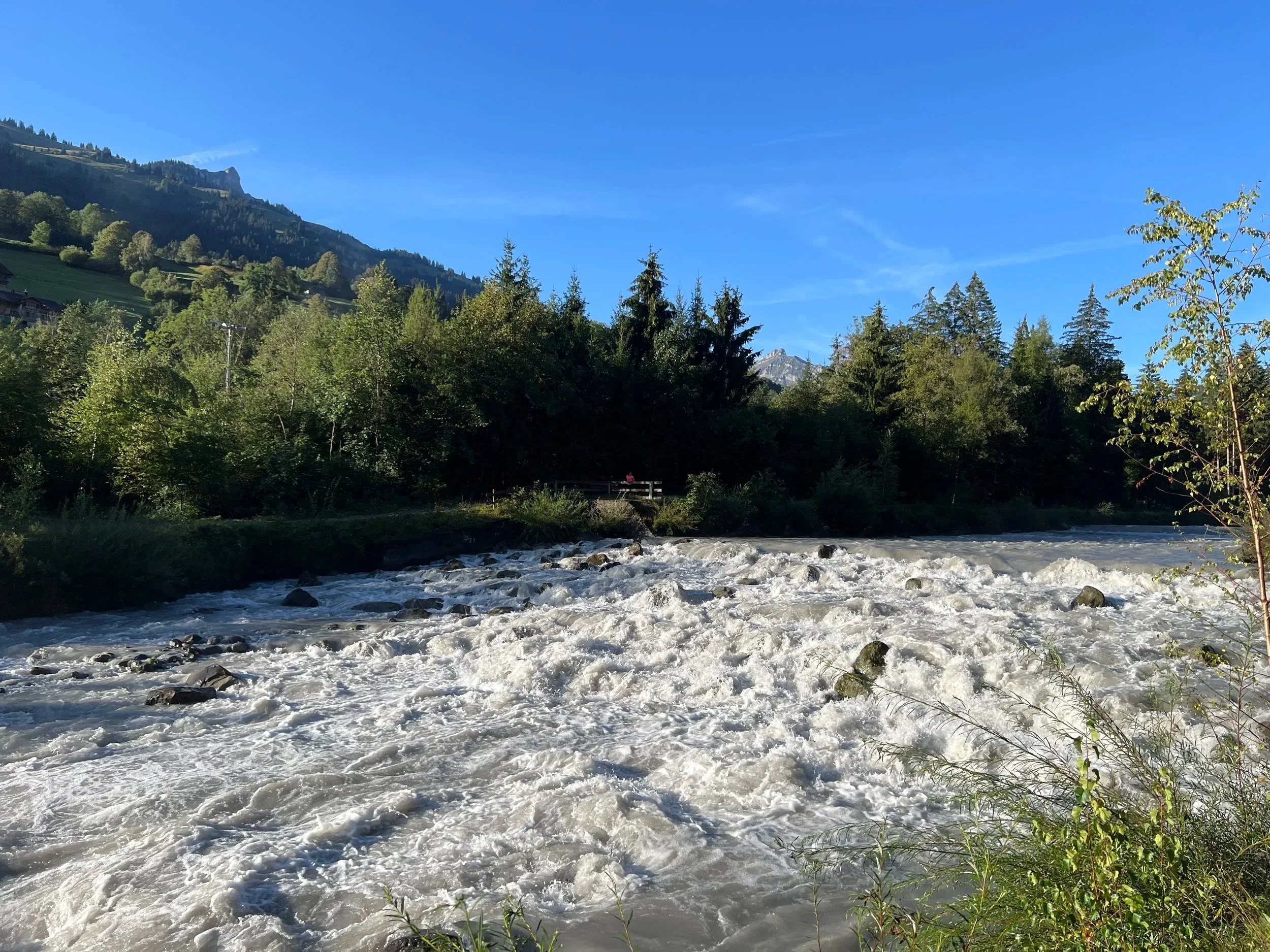 Tosender Gebirgsfluss mit weißen Stromschnellen vor bewaldeten Alpenhängen unter blauem Himmel