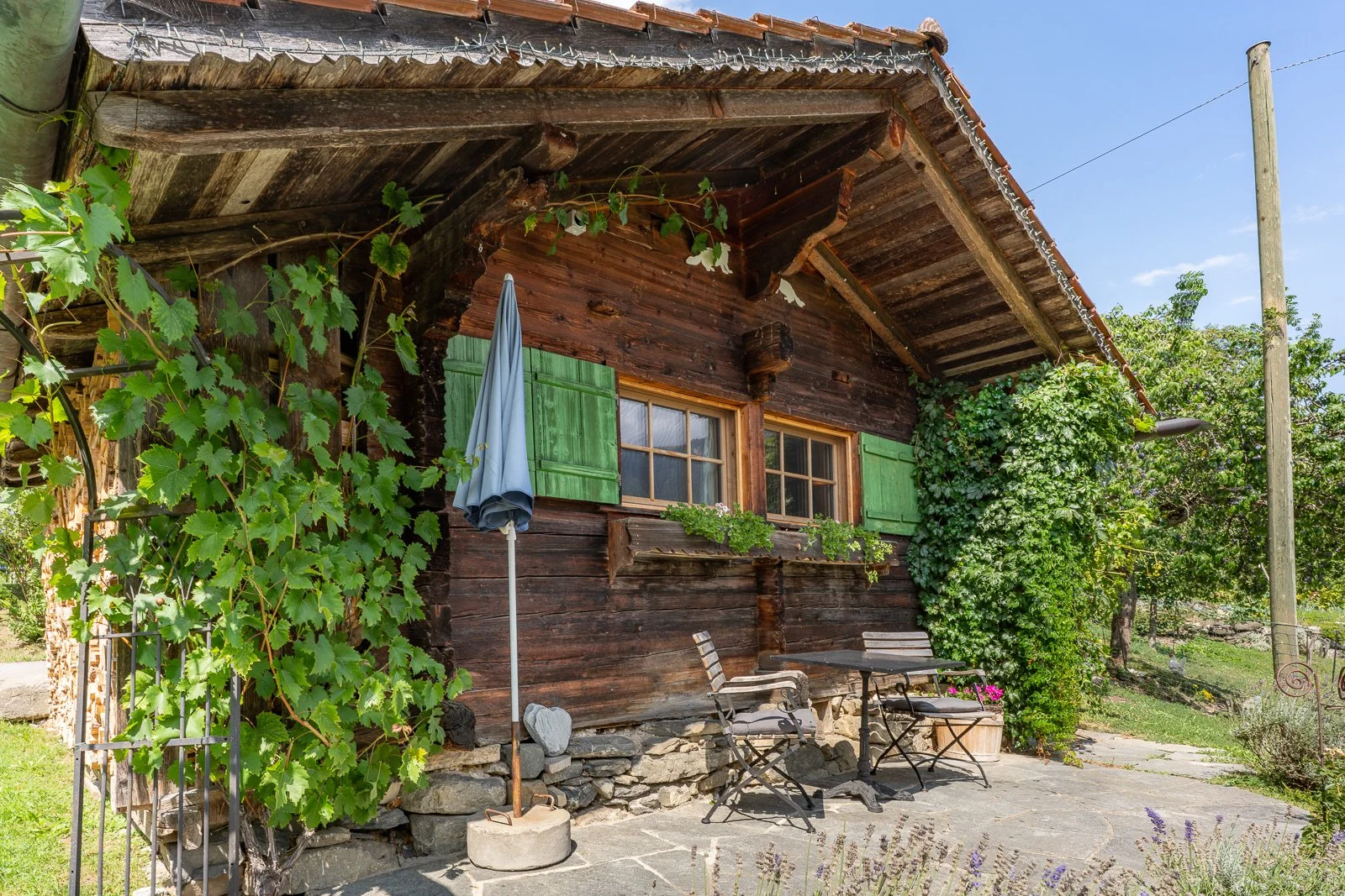 Ein rustikales Holzhaus mit grün gestrichenen Fensterläden, umgeben von grünen Pflanzen und einem kleinen Garten, im Freien sitzt ein Tisch mit Stühlen, ein Sonnenschirm steht daneben.