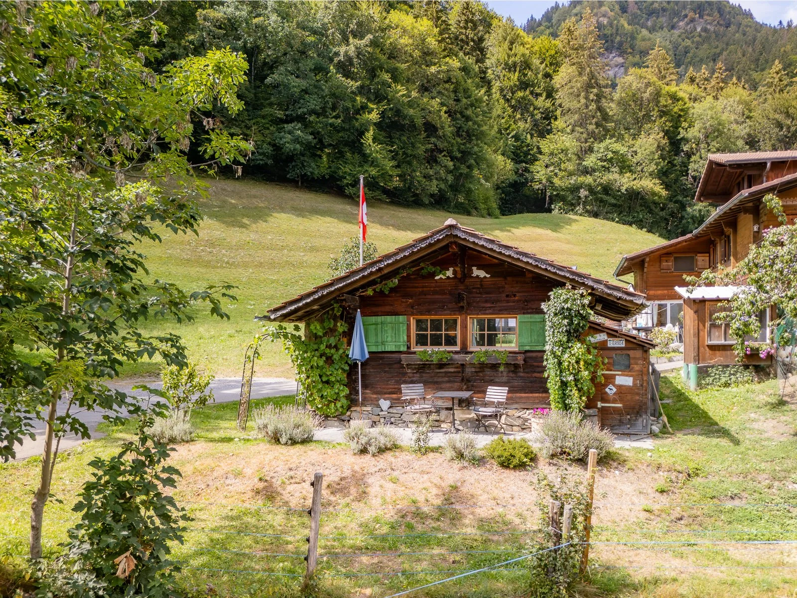 Ein kleines, holzverkleidetes Haus mit grünen Fensterläden und einer Terrasse mit Stühlen und einem Tisch, umgeben von Gärten, mit einem Hügel und Wäldern im Hintergrund.