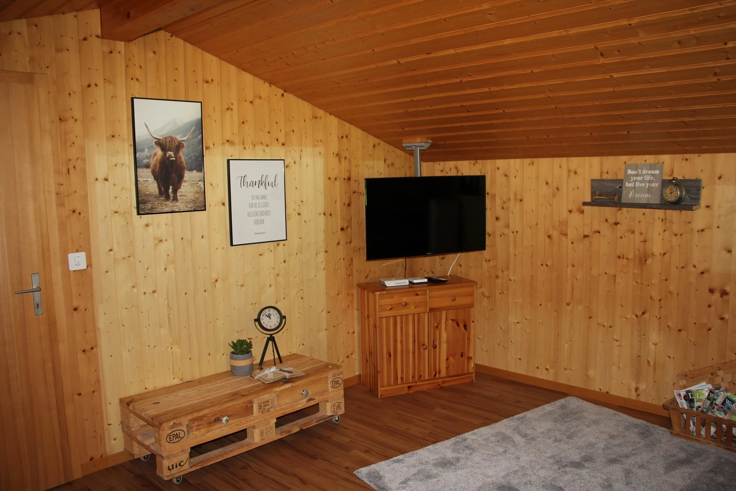 Gemütliches Wohnzimmer mit Holzverkleidung, Wandbildern, Fernseher, Teppich und Regal mit Dekorationen.