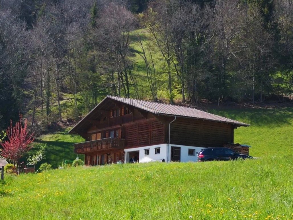 Ein Holzhaus in einer grünen Landschaft mit Bäumen im Hintergrund und einer blühenden Pflanze im Vordergrund.