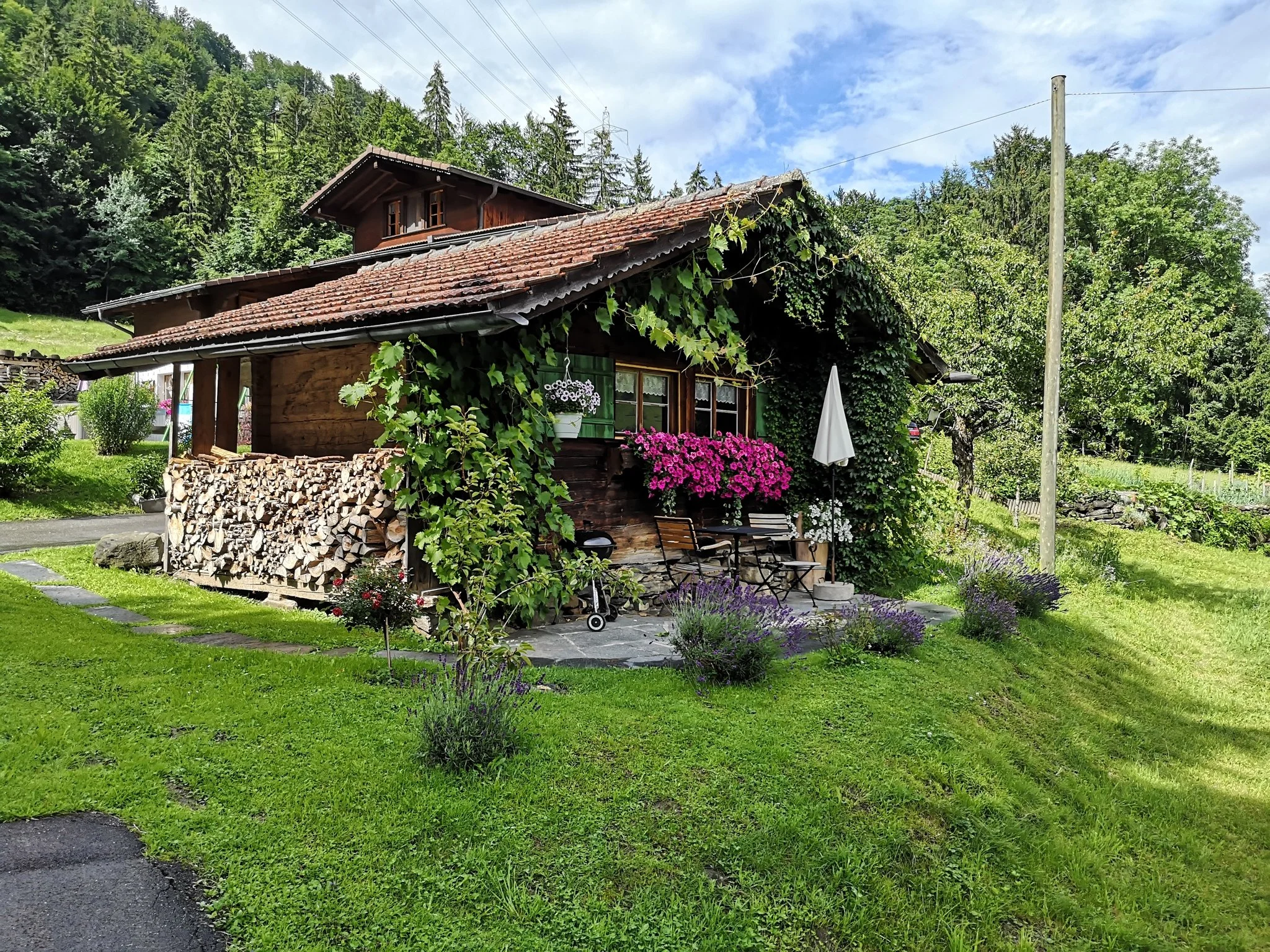 Ein traditionelles Holzhaus mit rot-weißem Dach, verziert mit Blumen und viel Grün, liegt in einer ländlichen Umgebung mit Wäldern im Hintergrund und ist von einem gepflegten Garten umgeben.