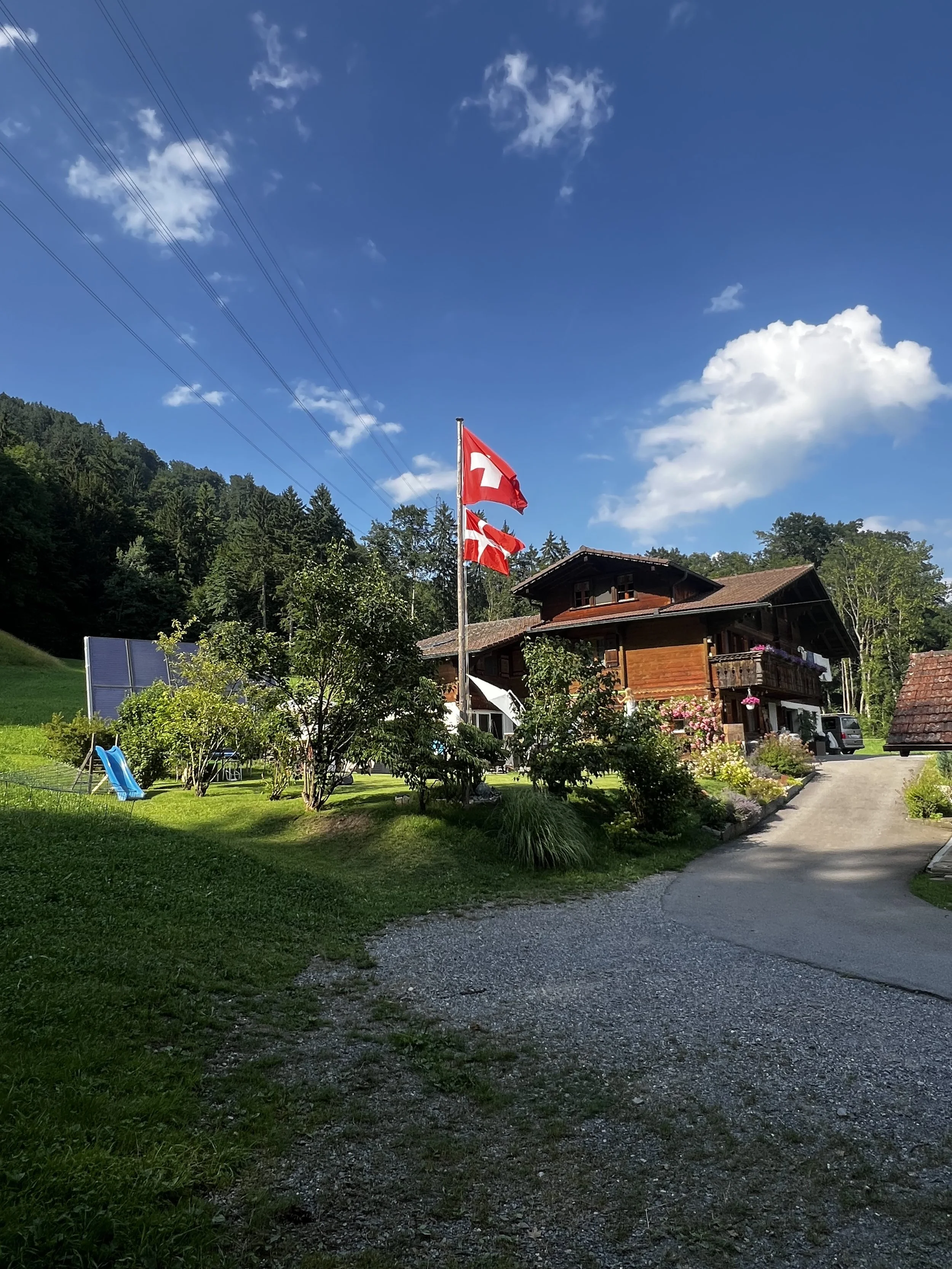 Ein Holzhaus in einer grünen Landschaft mit Schweizer Flaggen, Blumen und einem blauen Himmel mit Wolken.