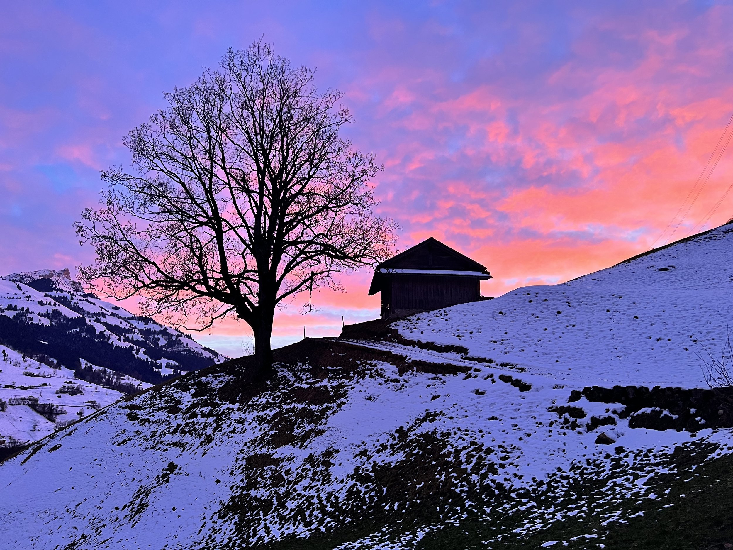 Eine Schneelandschaft mit einer großen, kahlen Baum, einem kleinen Holzhaus auf einem Hügel und einem farbenprächtigen, pink und blau verfärbten Himmel bei Sonnenuntergang.