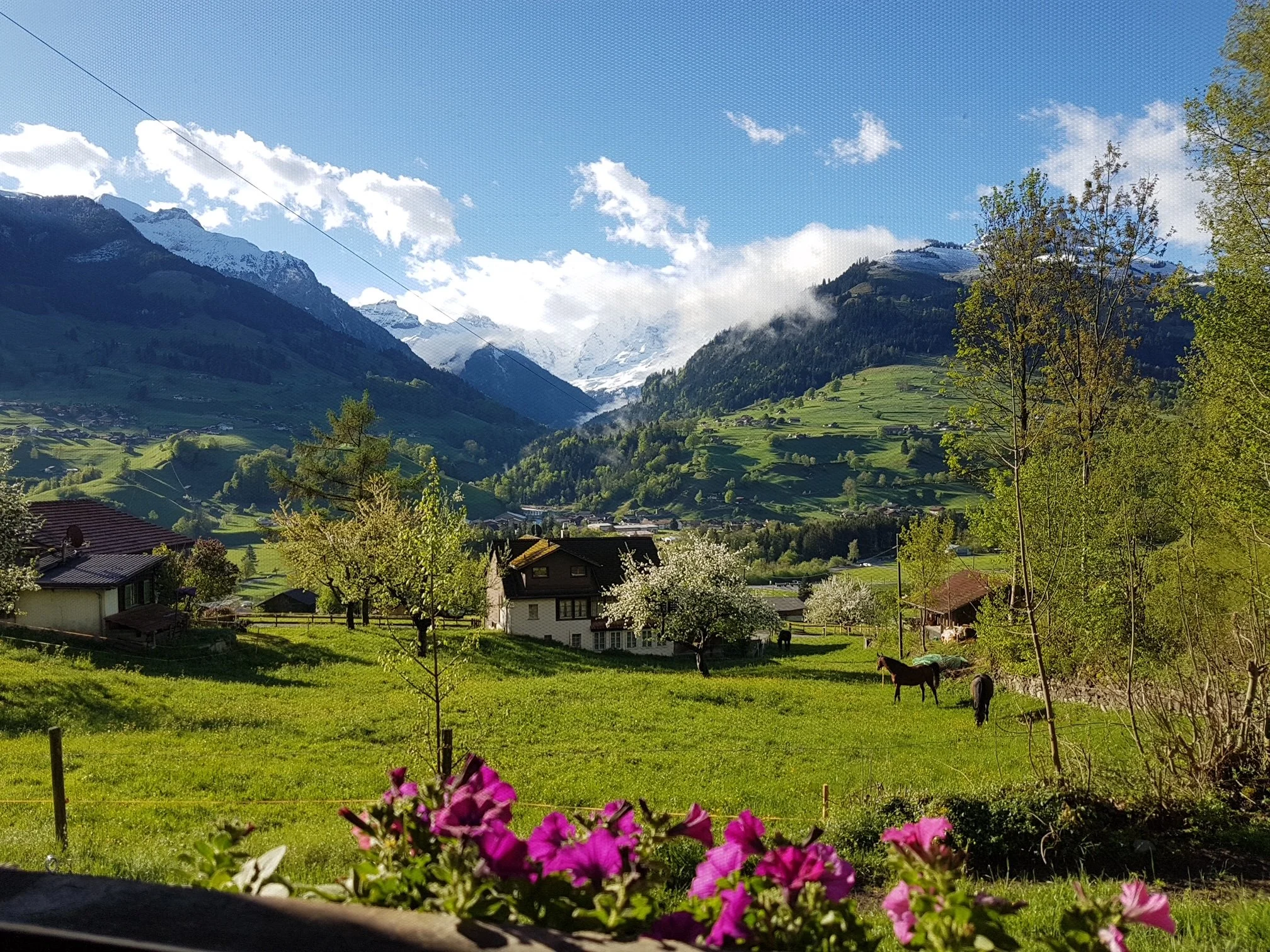 Eine malerische Landschaft in den Bergen mit grünen Wiesen, Bäumen, Häusern, Pferden, blühenden Blumen im Vordergrund und verschneiten Bergen unter einem blauen Himmel mit Wolken.