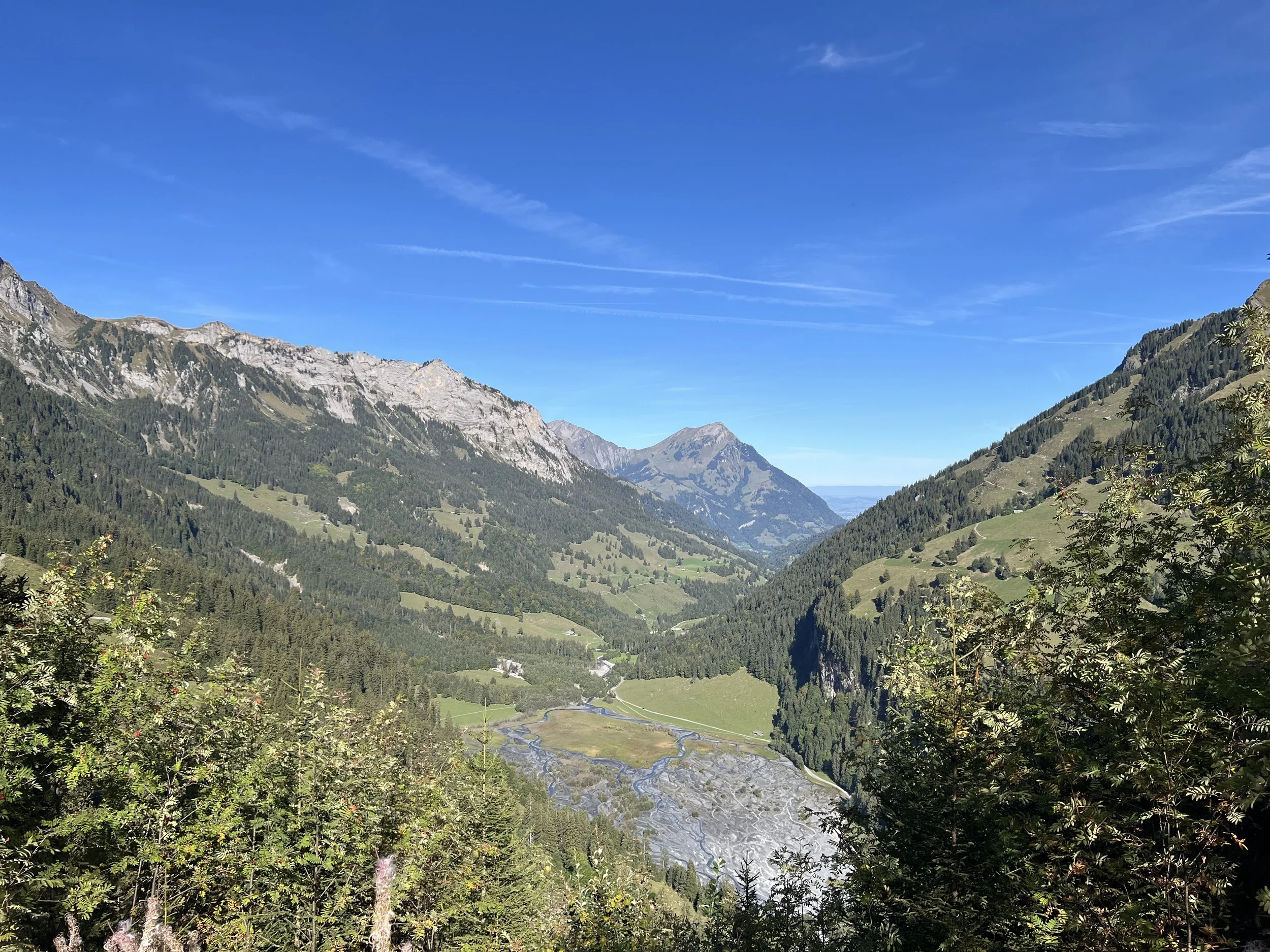 Panoramablick auf ein alpines Tal mit bewaldeten Berghängen, schroffen Felsgipfeln, grünen Alpwiesen und verzweigten Flussläufen unter blauem Himmel