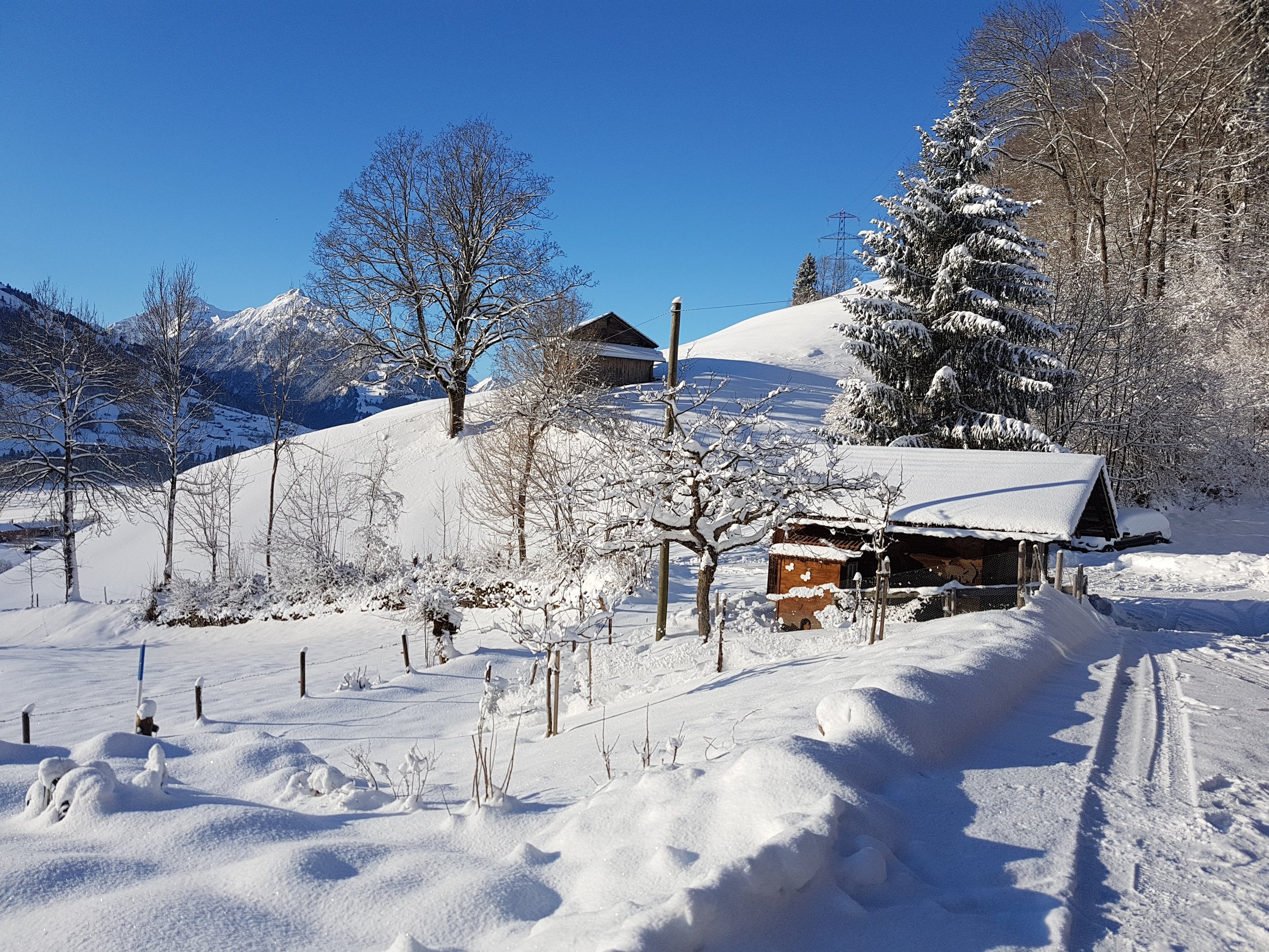 Schneebedeckte Landschaft mit Bäumen, Hütten und schneebedecktem Weg in einer Bergregion bei klarem Himmel.