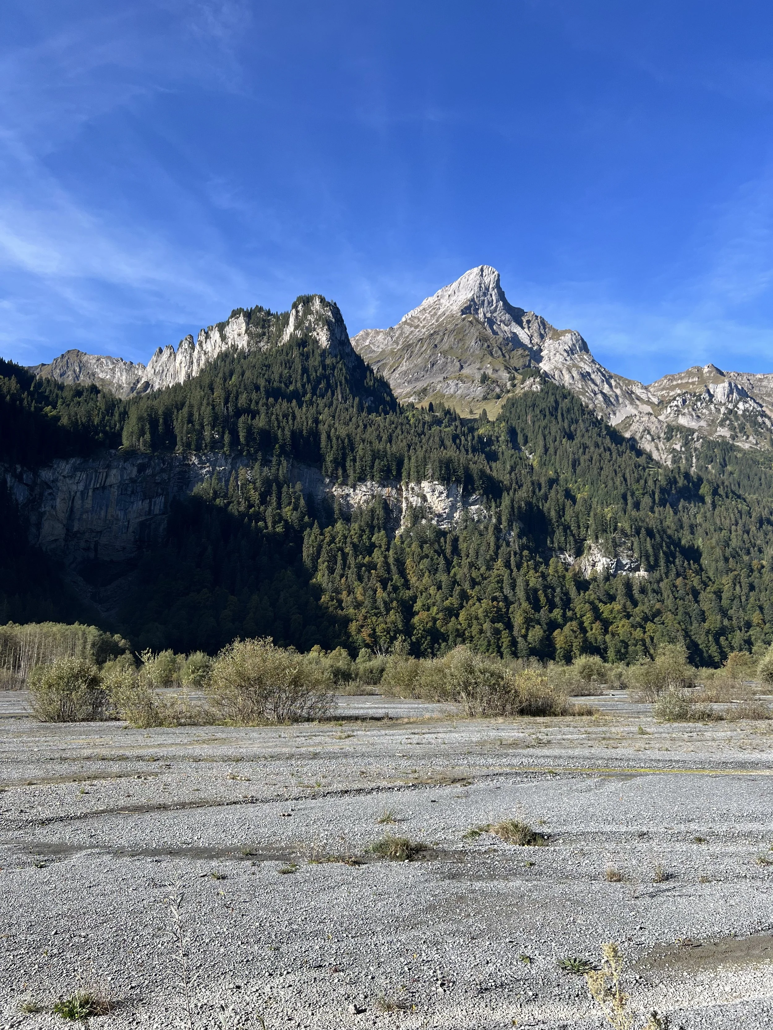Felsige Alpenberge mit dichtem Nadelwald unter blauem Himmel, davor ein steiniges Flussbett.