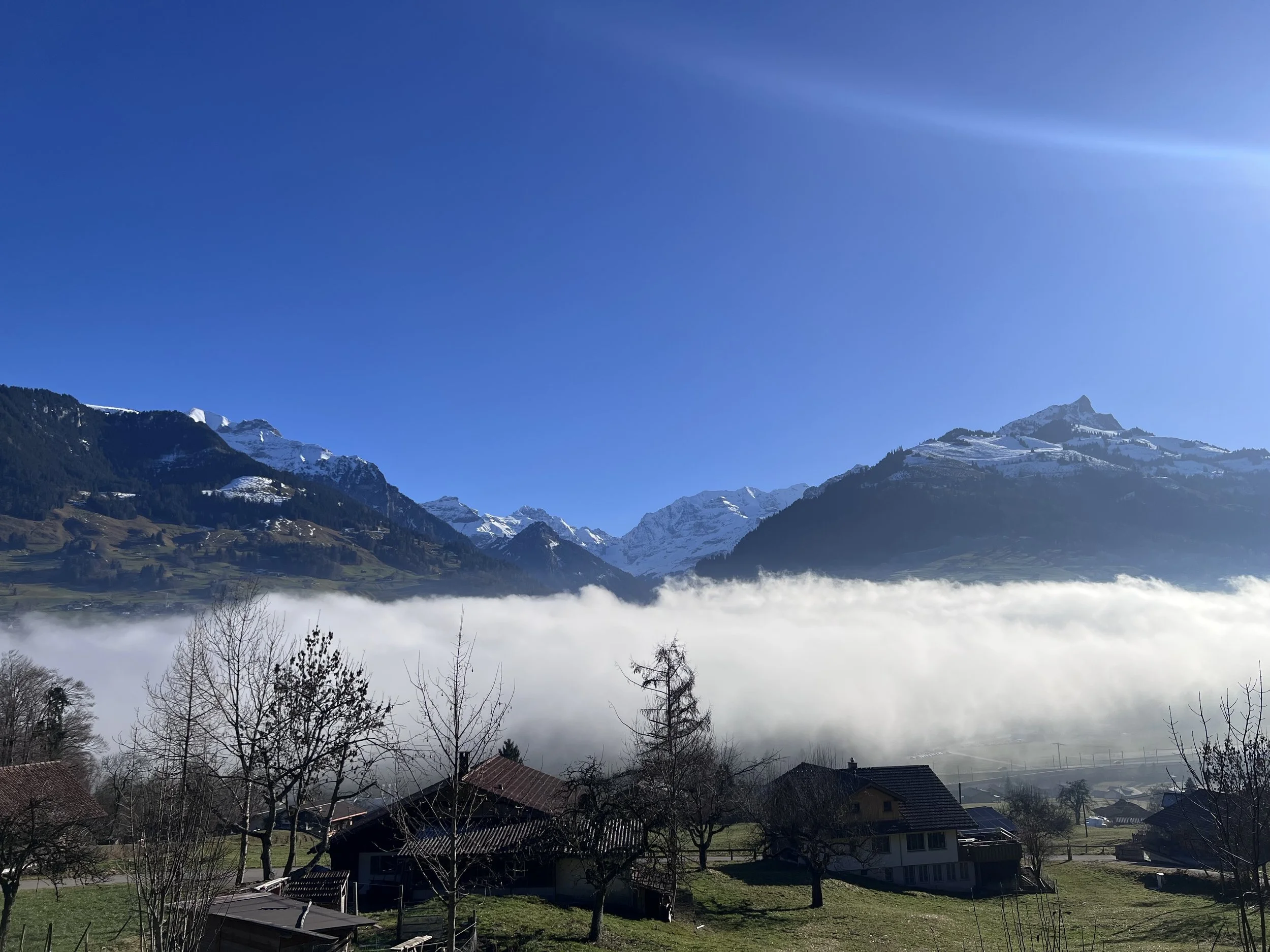 Berglandschaft mit verschneiten Gipfeln, Wolken in der Talsohle, Hausdächern und Bäumen im Vordergrund bei blauem Himmel.