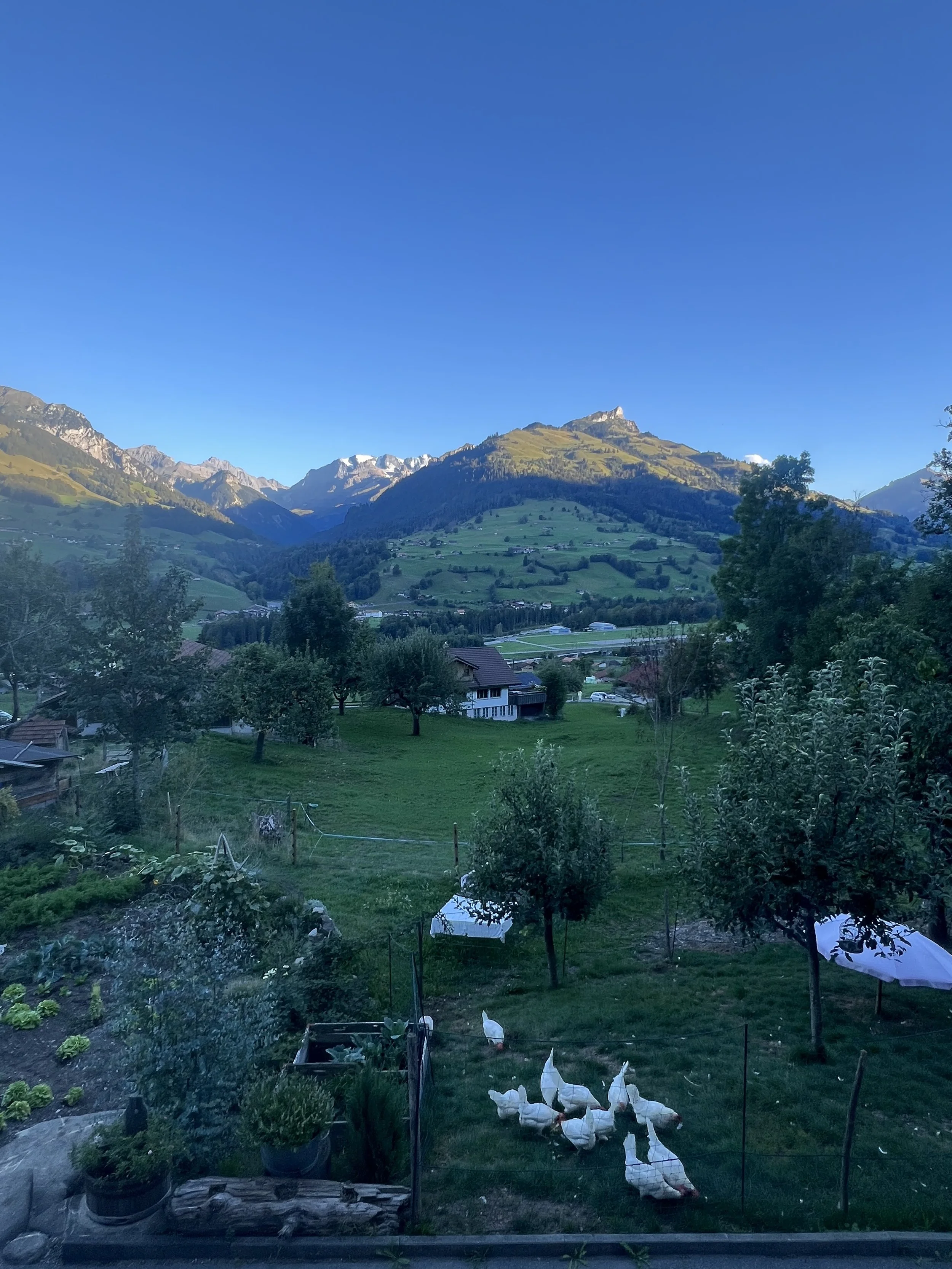 Alpenpanorama mit Berggipfeln, grünen Wiesen, verstreuten Häusern und einem Gemüse- und Obstgarten im Vordergrund