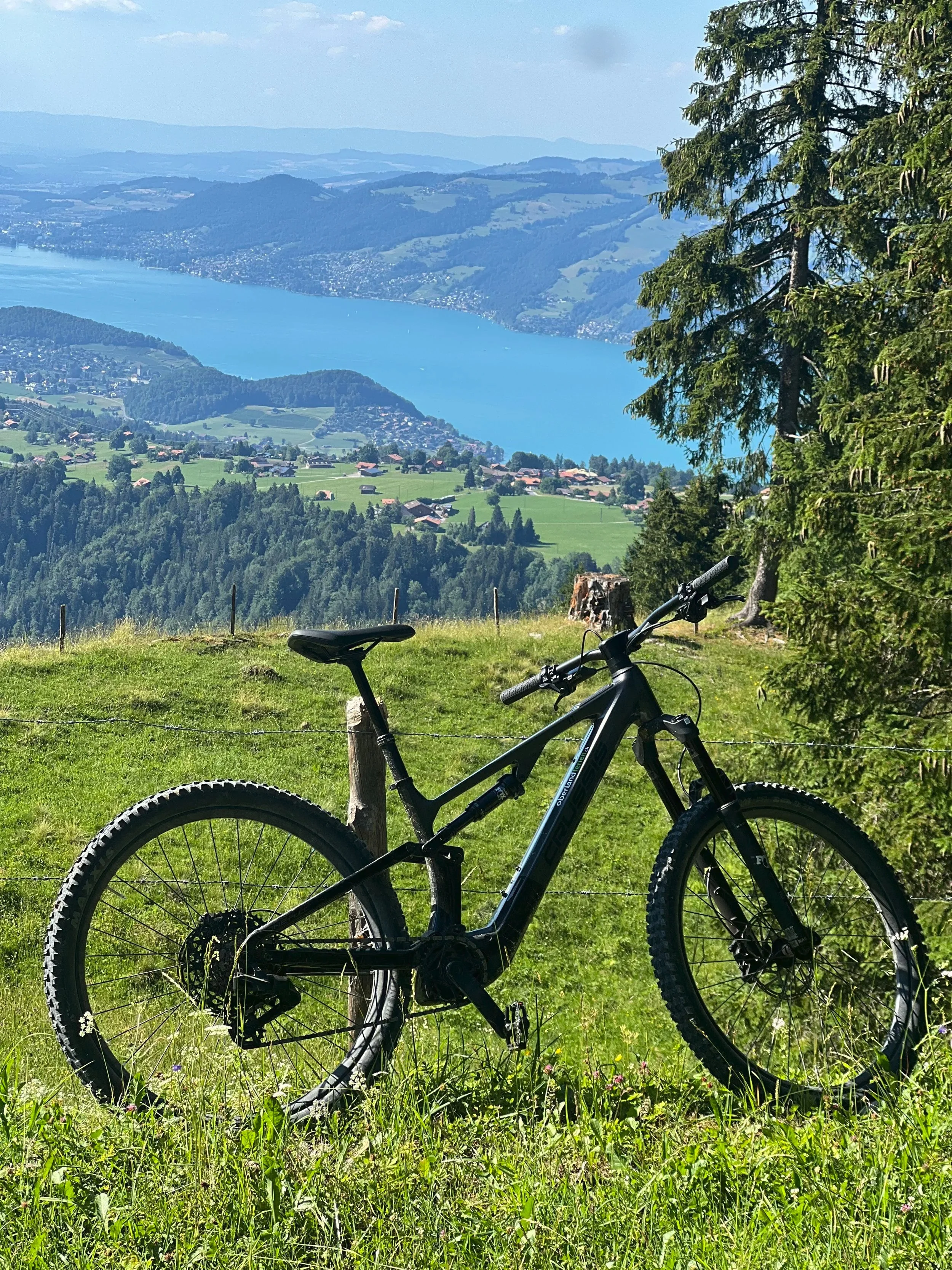 Berglage mit Fahrrad im Vordergrund, grüner Wiesenbereich, Wald, See und Berge in der Ferne, blauer Himmel.