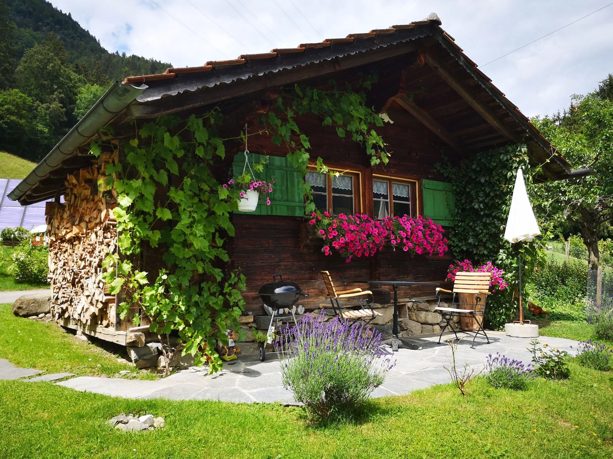 Ein kleines Holzhaus mit grünen Fensterläden und vielen Blumen, umliegender Garten mit Sitzplatz, Sonnenschirm und Lavendel