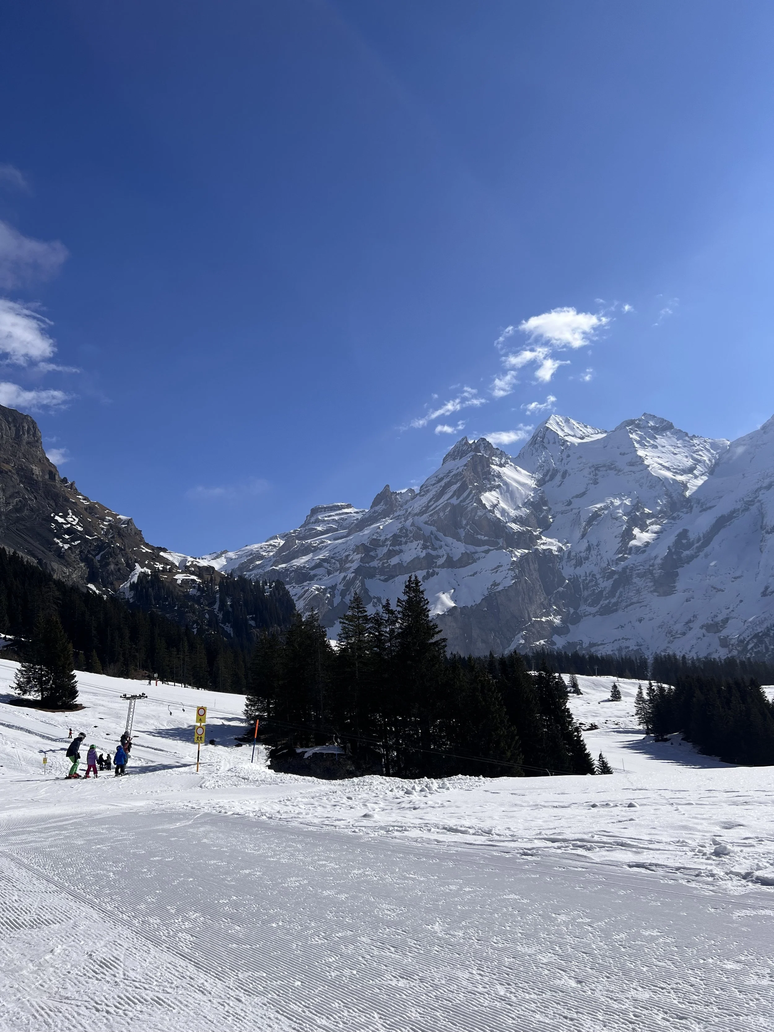 Schneebedeckte Berge mit klarer blauer Himmel, Skifahrer auf der Piste, Kiefernbäume im Vordergrund.
