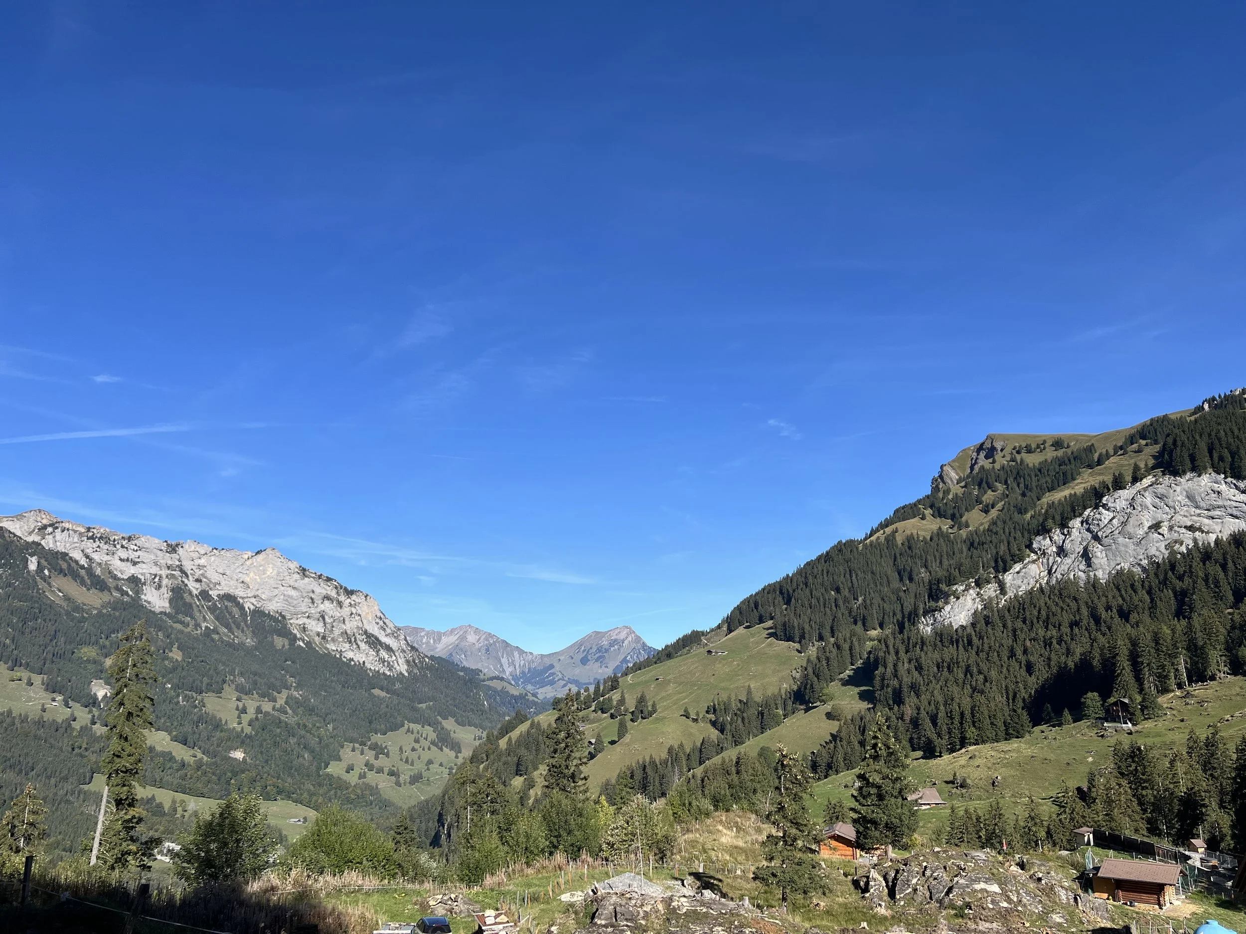 Panoramablick auf eine alpine Berglandschaft mit bewaldeten Hängen, grünen Alpwiesen, verstreuten Berghütten und markanten Felsformationen unter blauem Himmel.