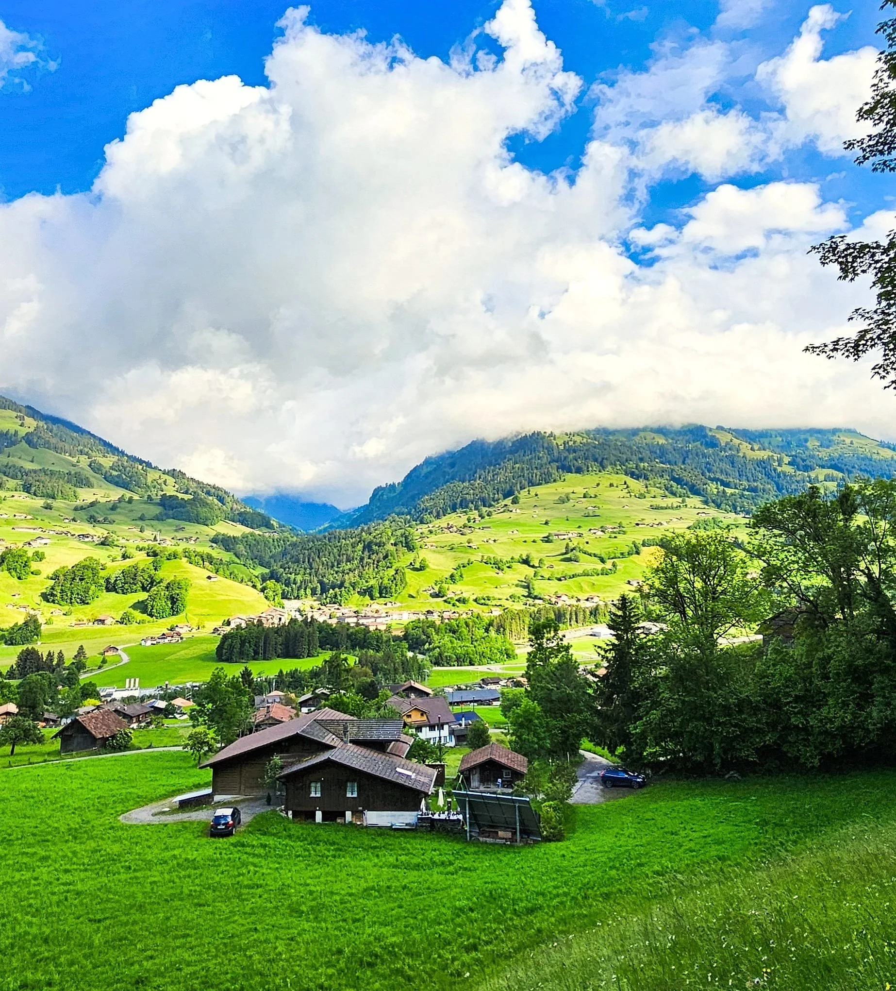 Grüne Hügel mit Bauernhäusern, Bäumen und Bergen im Hintergrund unter einem bewölkten Himmel.
