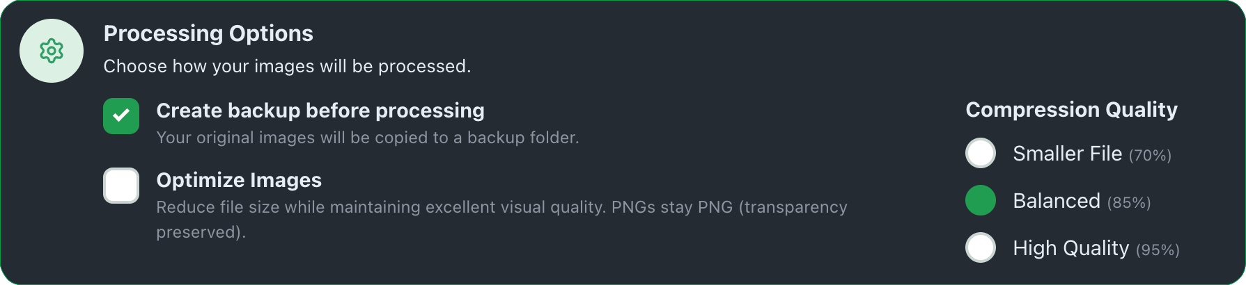 Processing Options