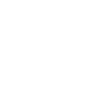 Tick
