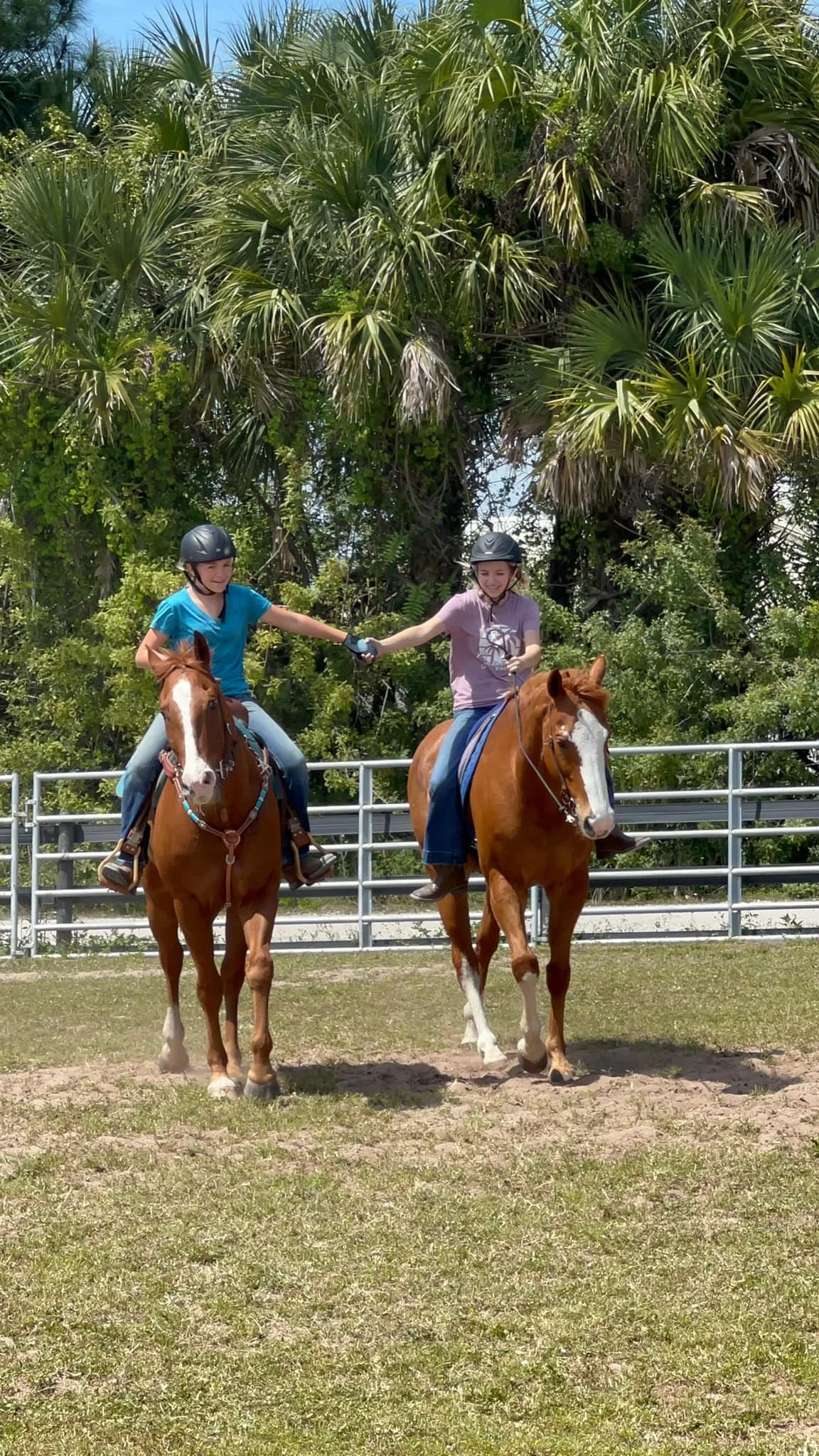 Two young girls wearing helmets sitting on horses, holding hands, in an outdoor riding arena with palm trees in the background.