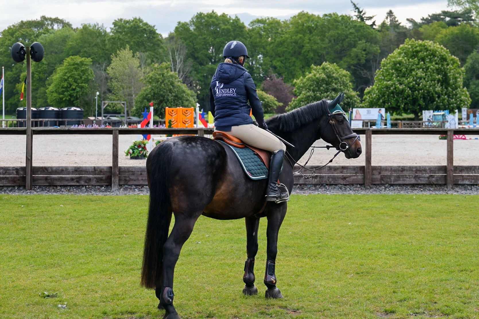 Why Do I Freeze in the Competition Ring?