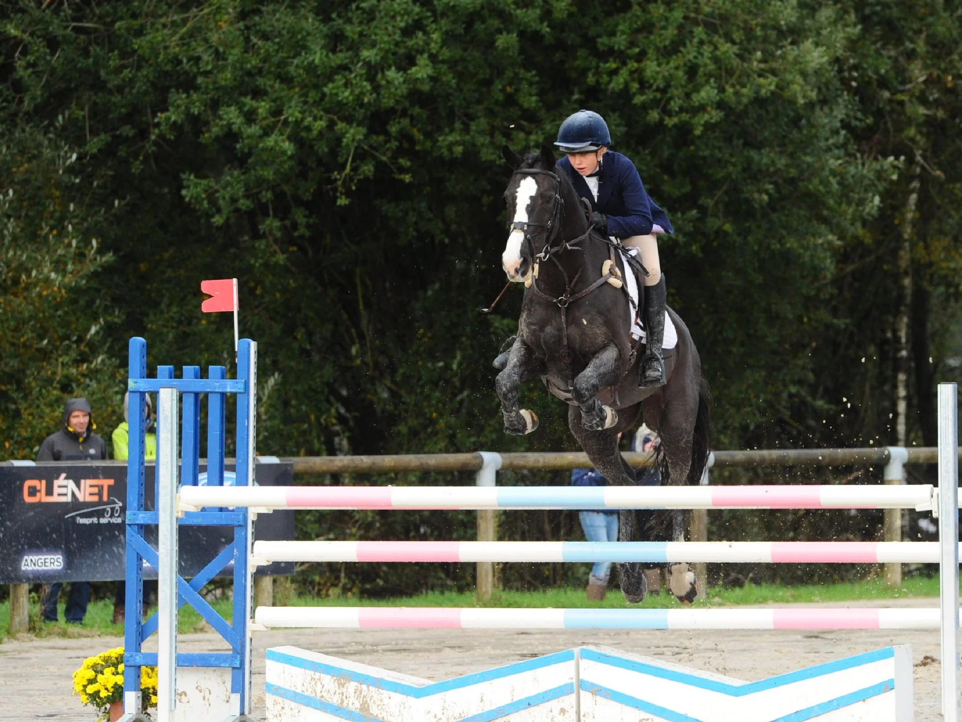 Equestrian performance coaching concept image