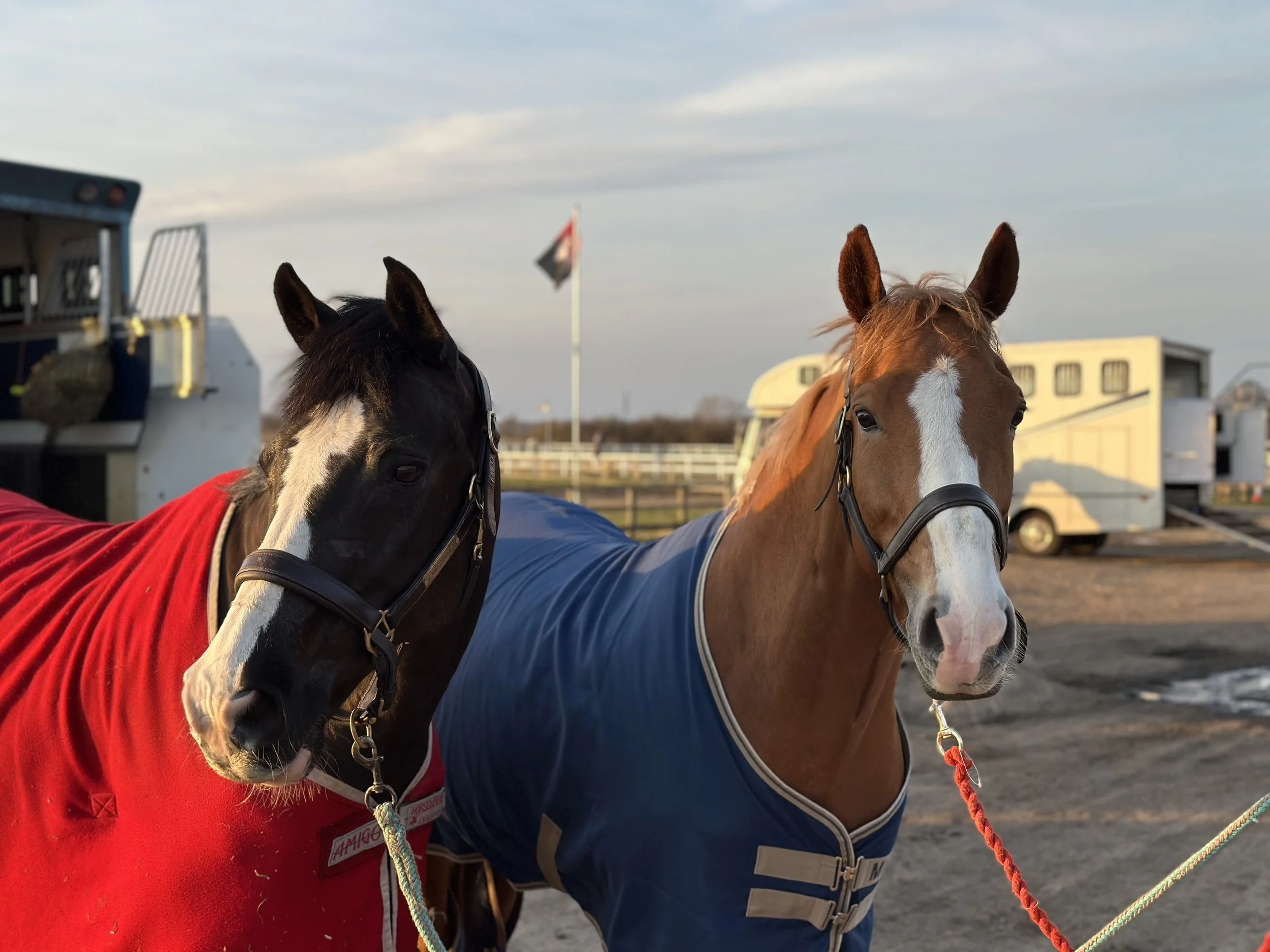 Equestrian performance workshop about confidence and pressure