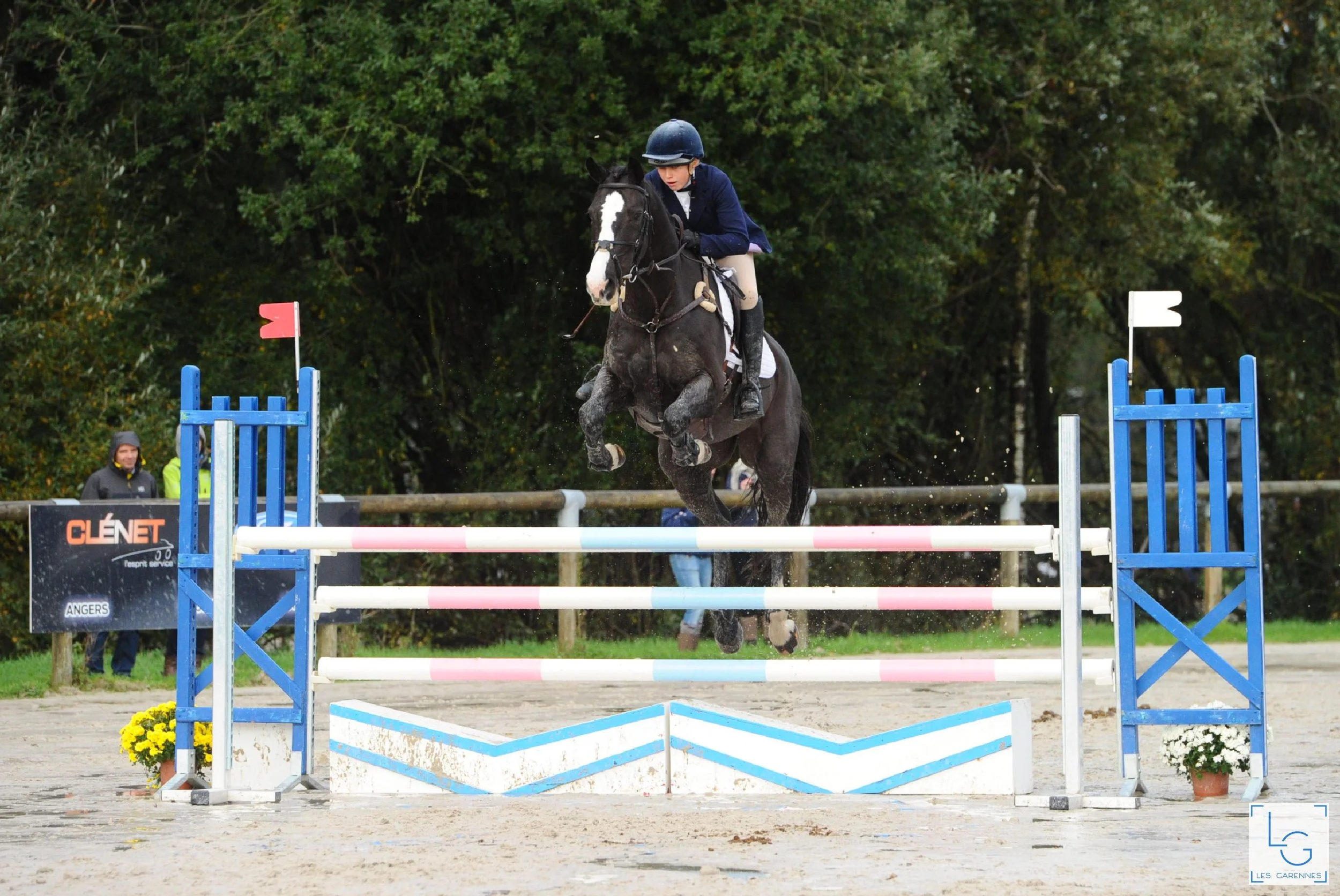 Equestrian performance coaching concept image