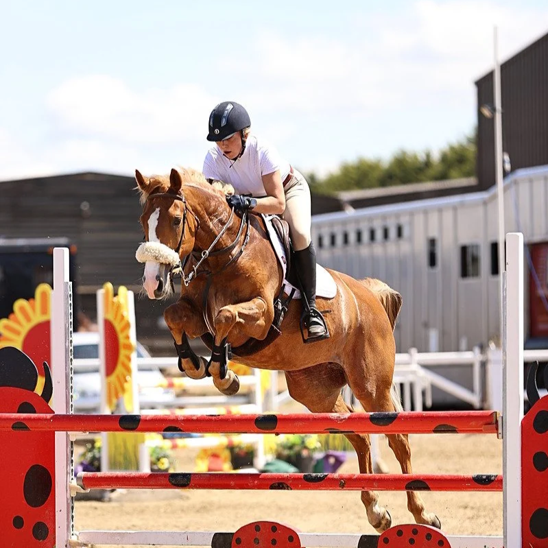 Seraphina at Pendley Performance in a white shirt and black helmet riding a brown horse jumping over an obstacle during an equestrian event.
