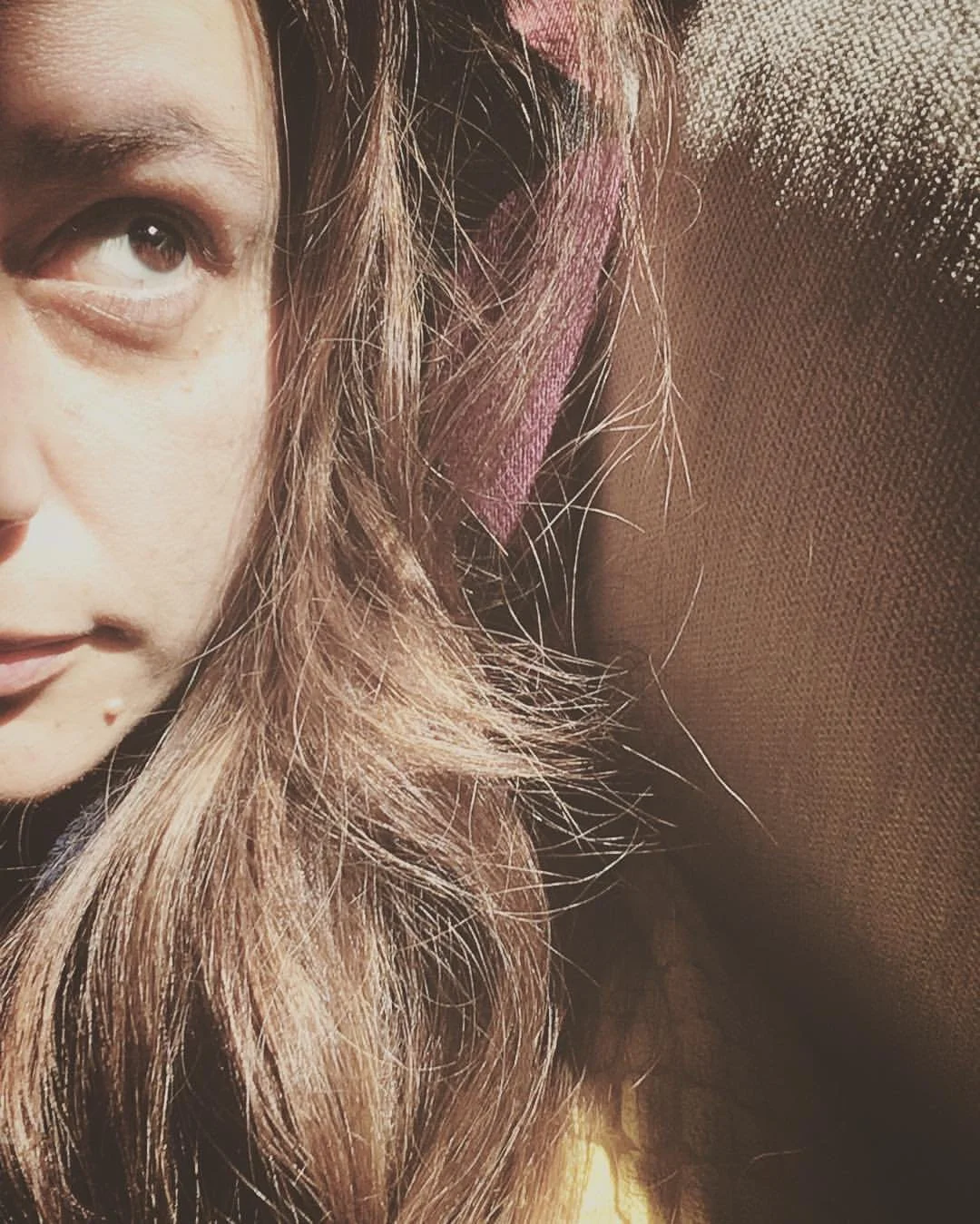 Close-up of a woman's face and hair, showing her eye, part of her nose, and flowing light brown hair against a textured brown background.