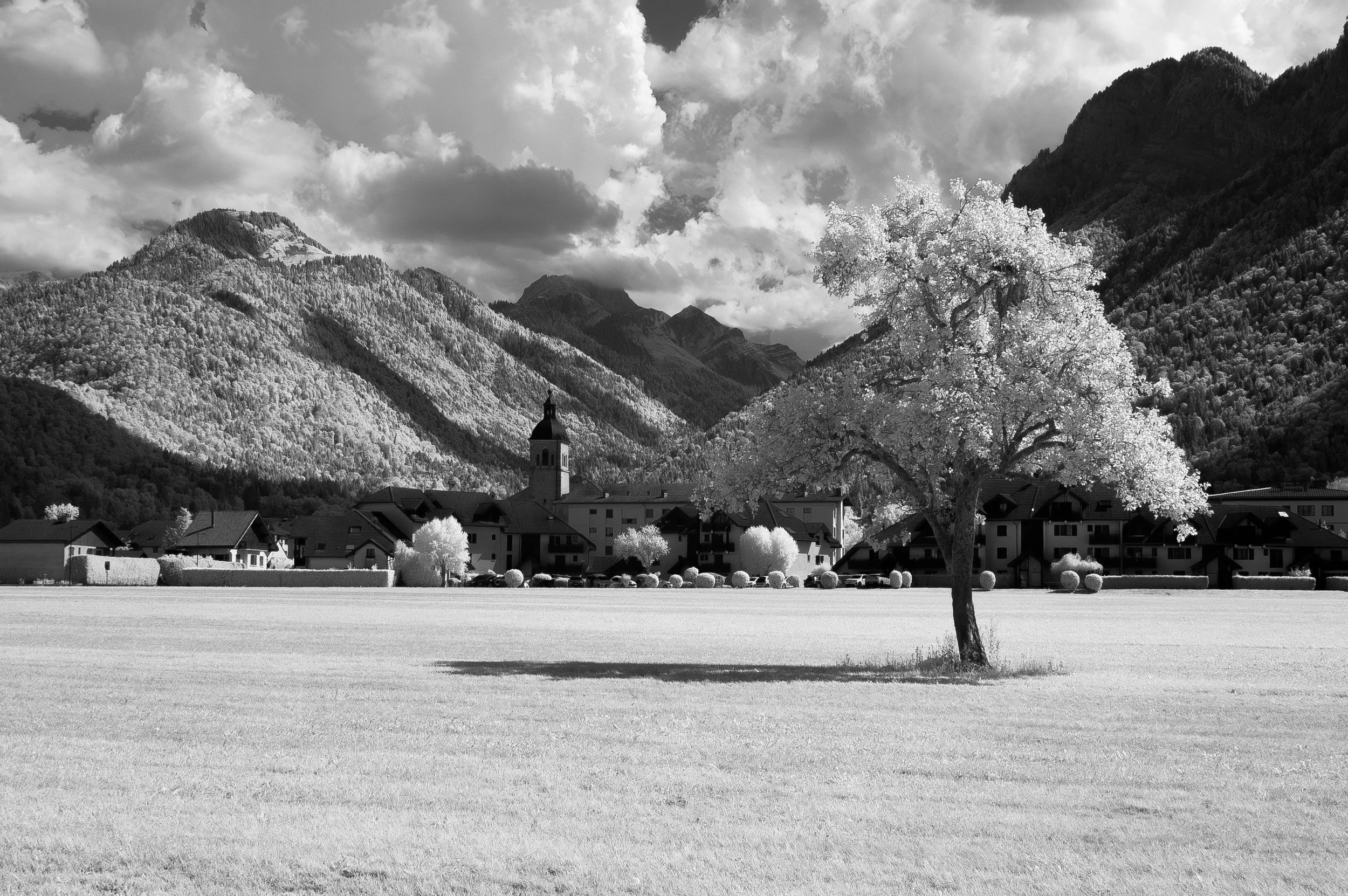 DSC_0100 copy.jpg