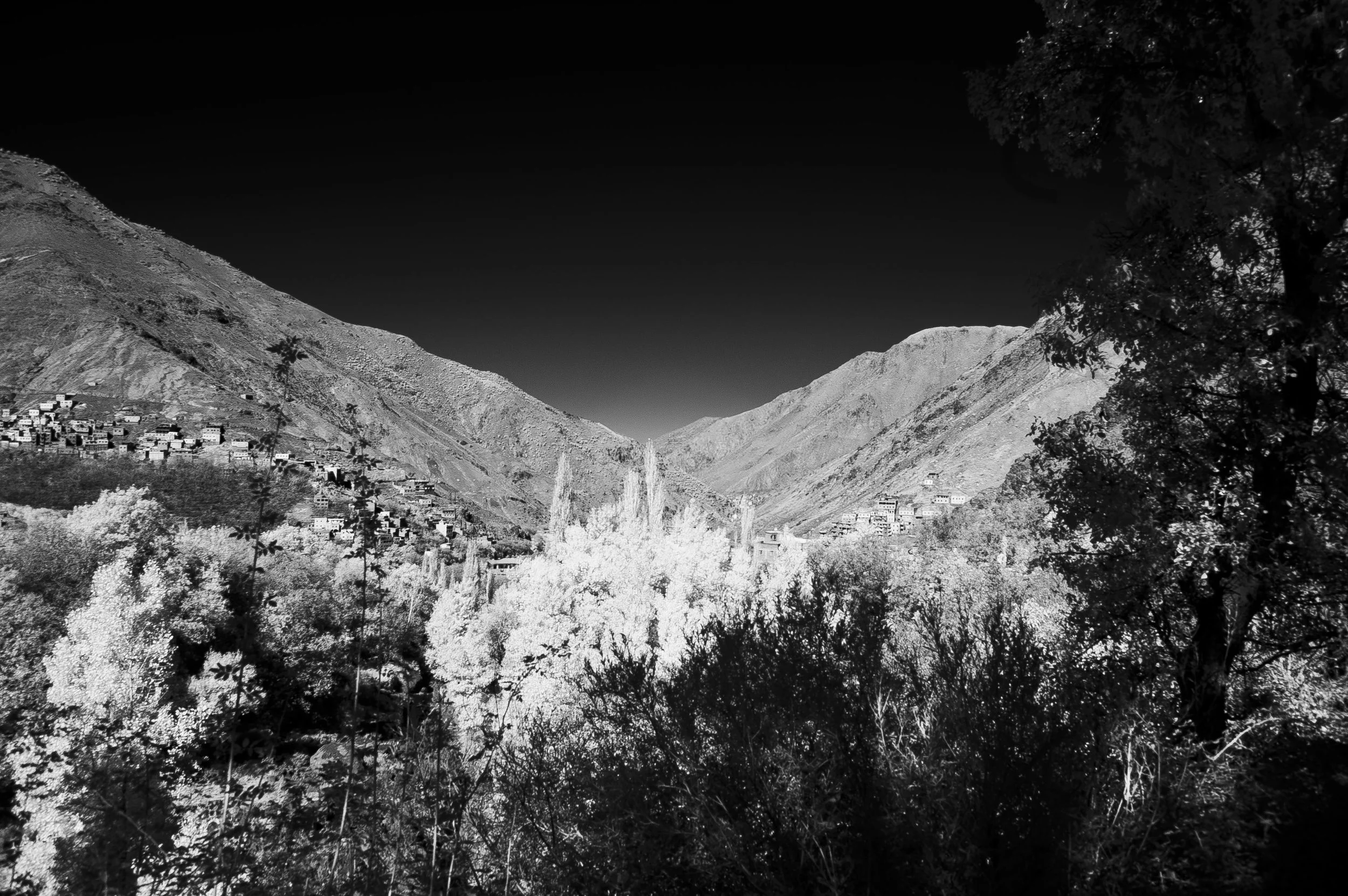 DSC_0010 copy.jpg