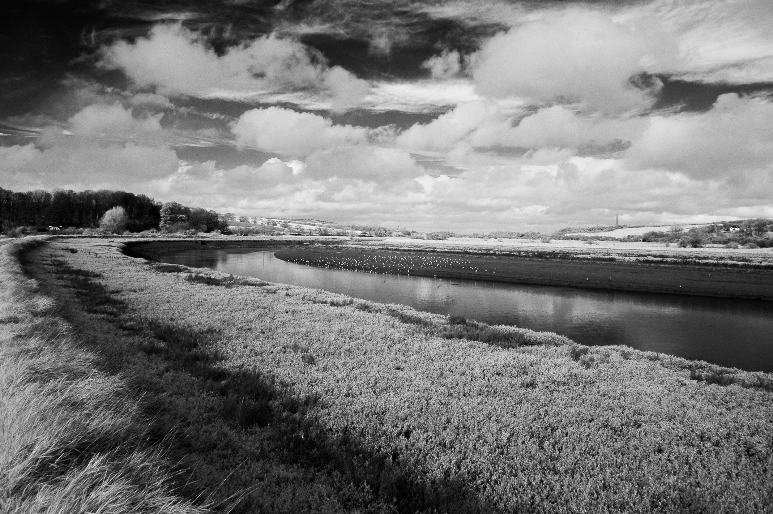 DSC_0101.jpg