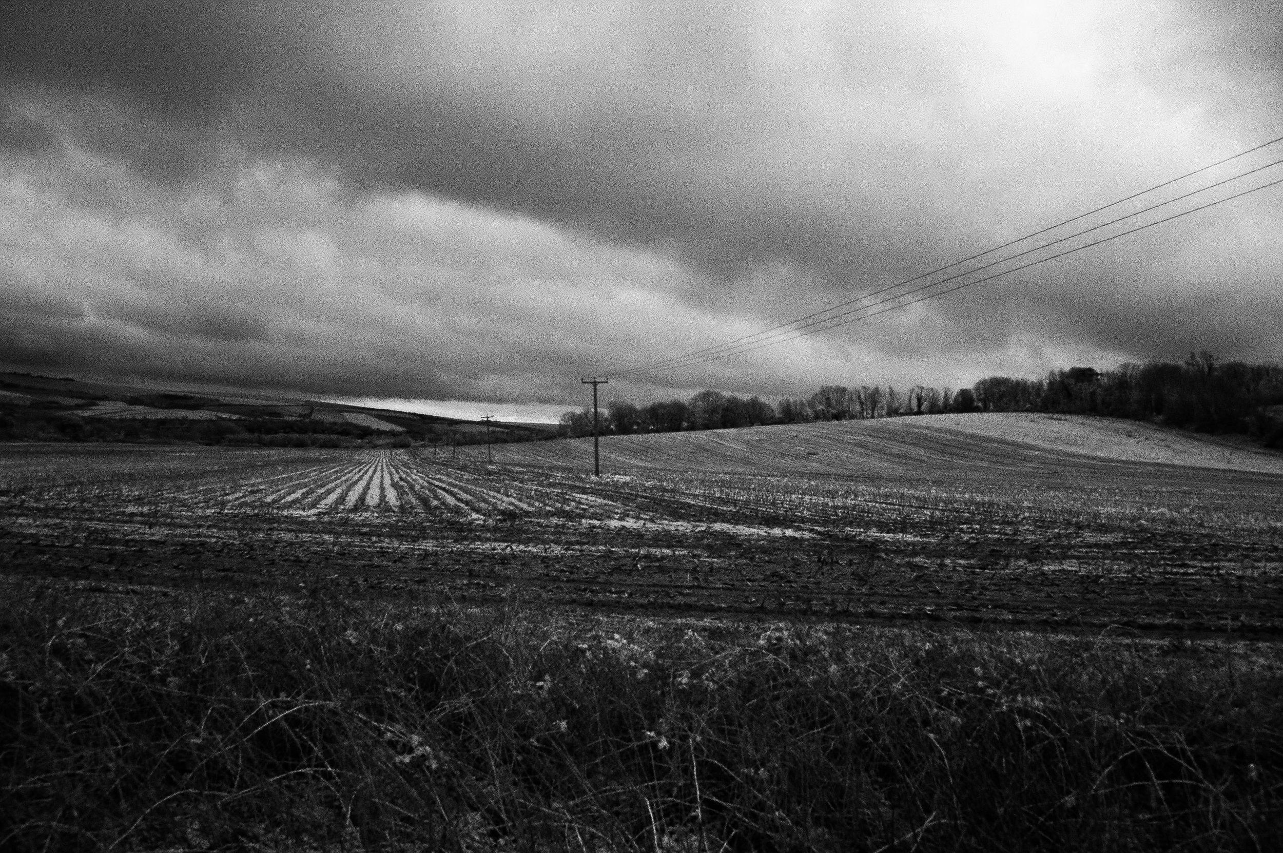 DSC_0079 copy.jpg
