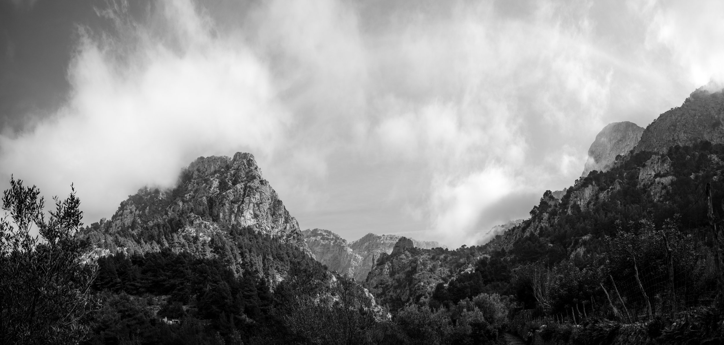 Untitled_Panorama-1.jpg