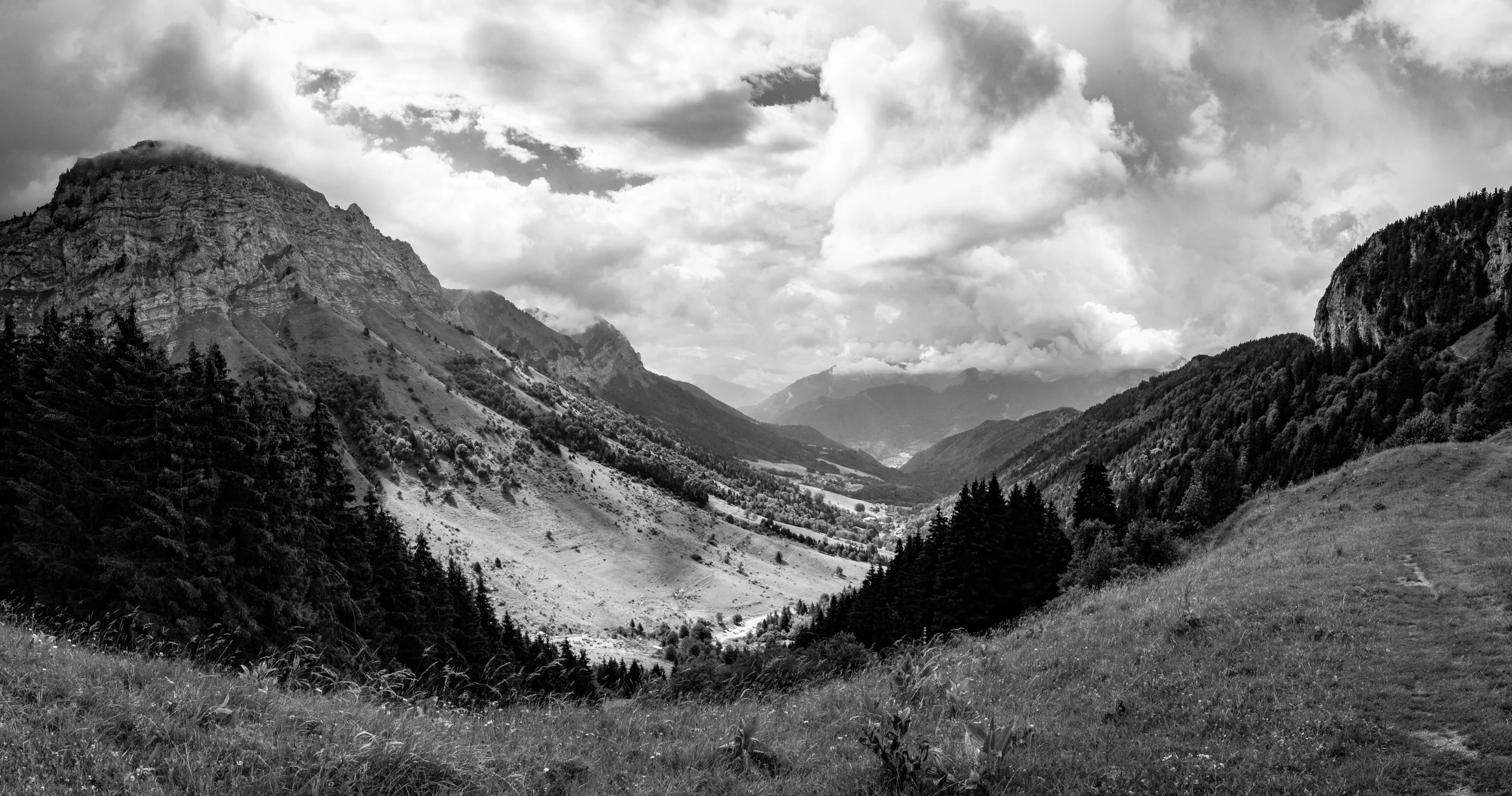 Untitled_Panorama-2 copy.jpg