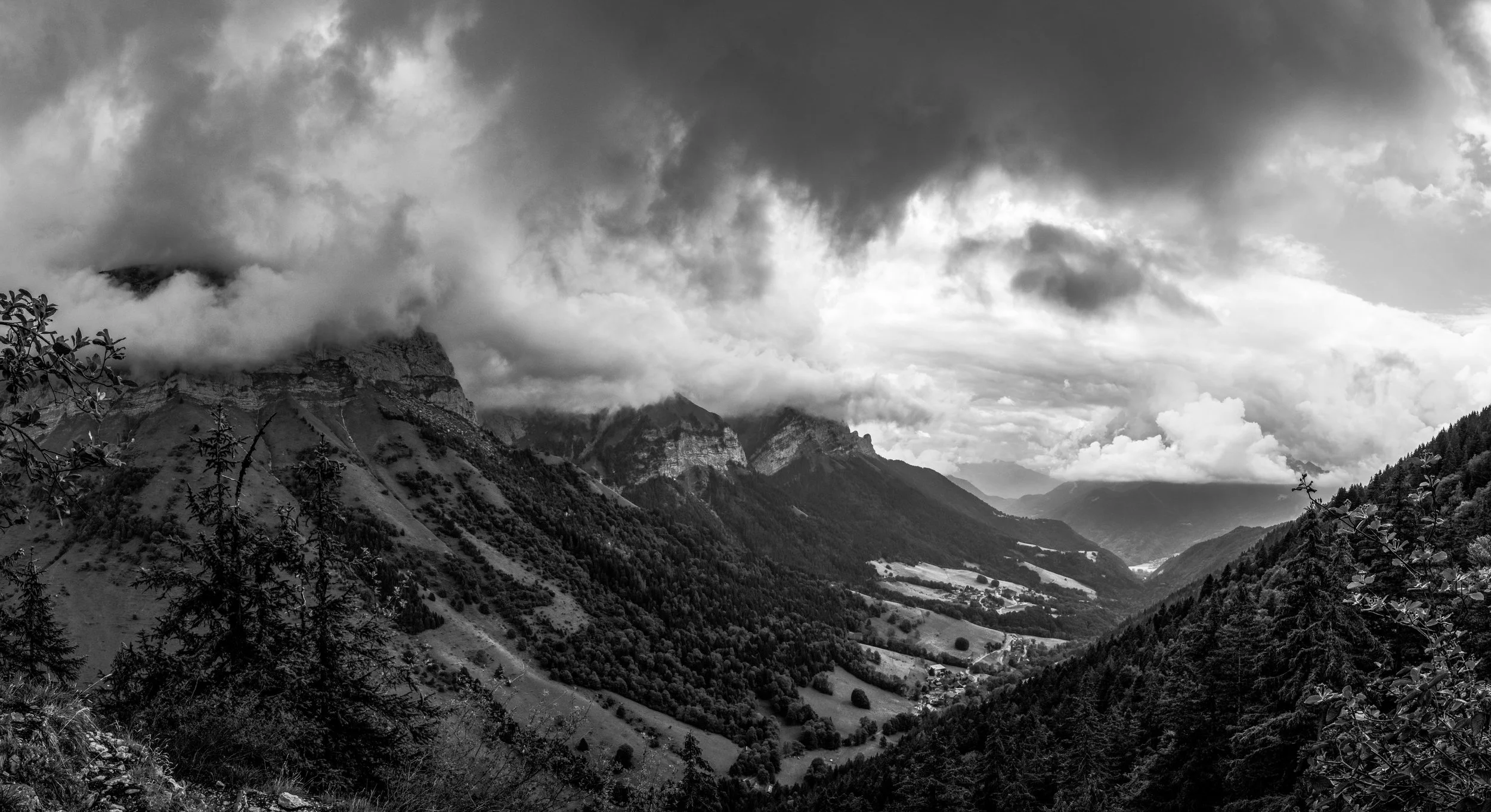 Untitled_Panorama-1 copy.jpg