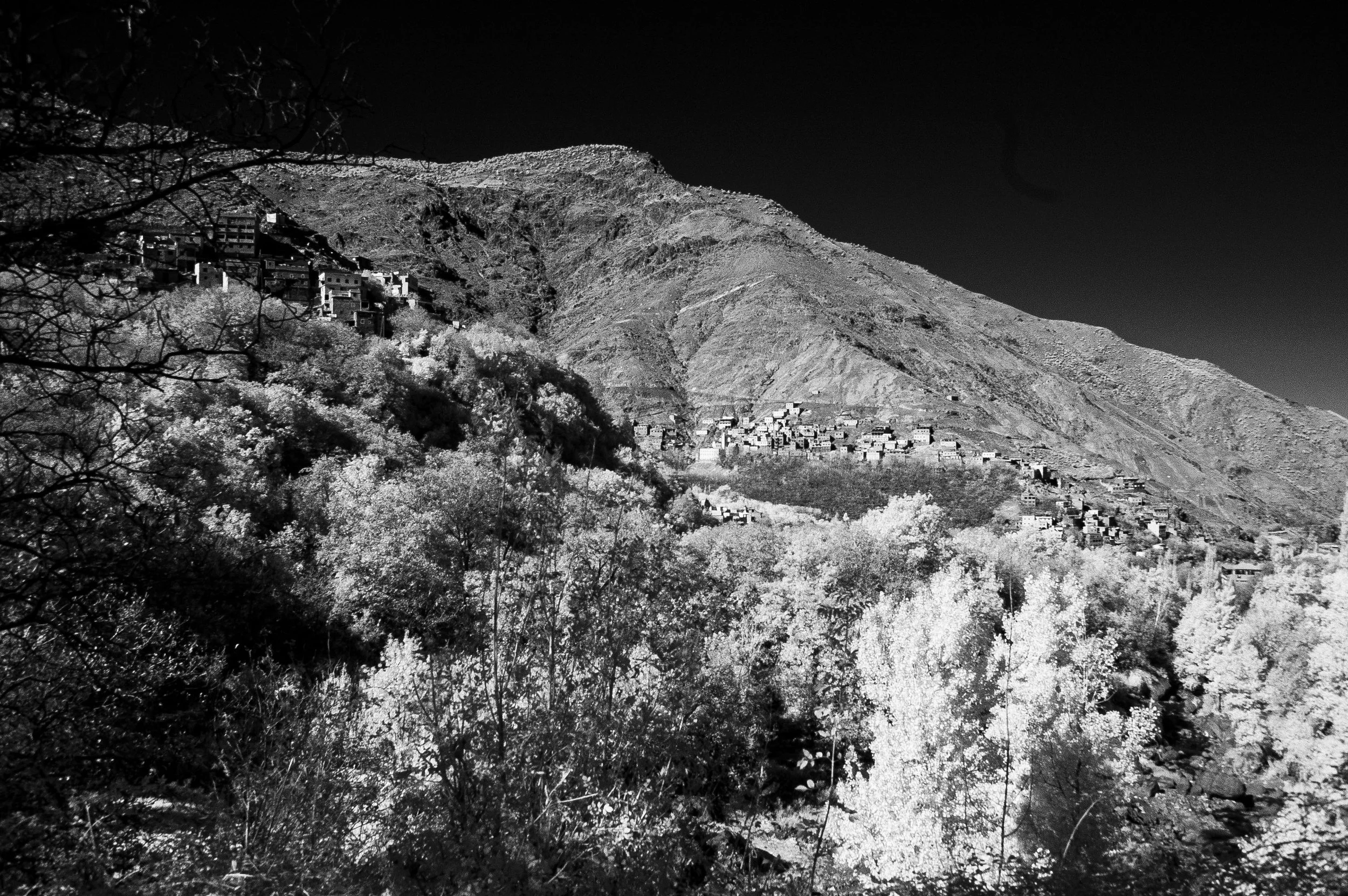DSC_0008 copy.jpg