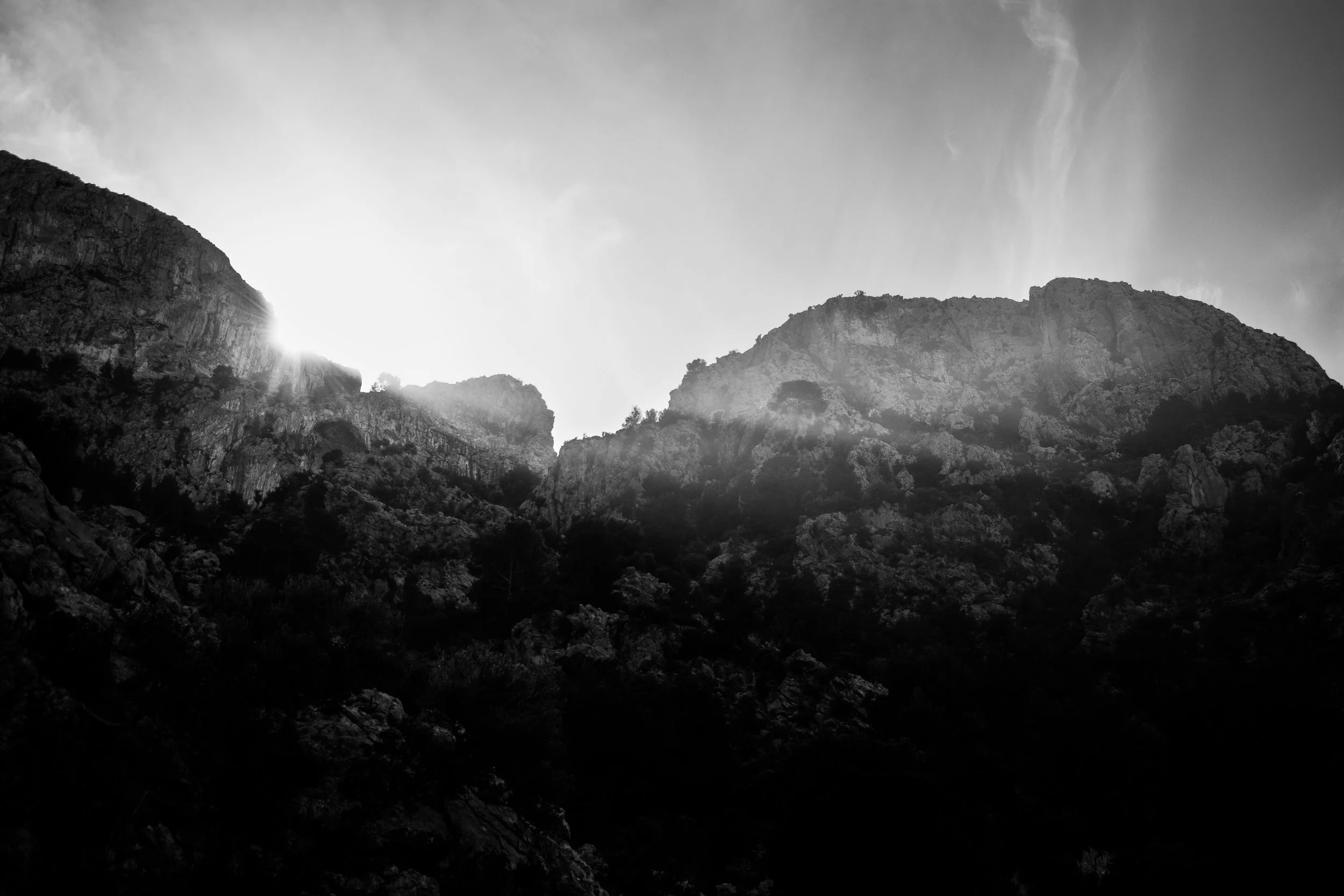 _ROB8438 copy.jpg