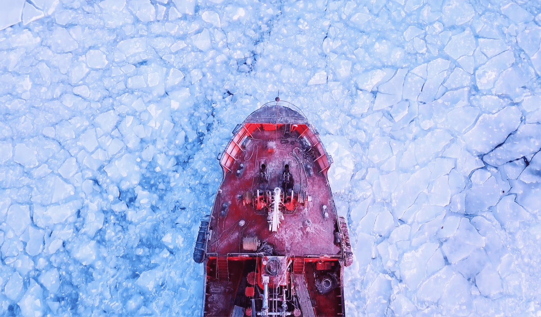 Oracle + TCS – Crystallus product video