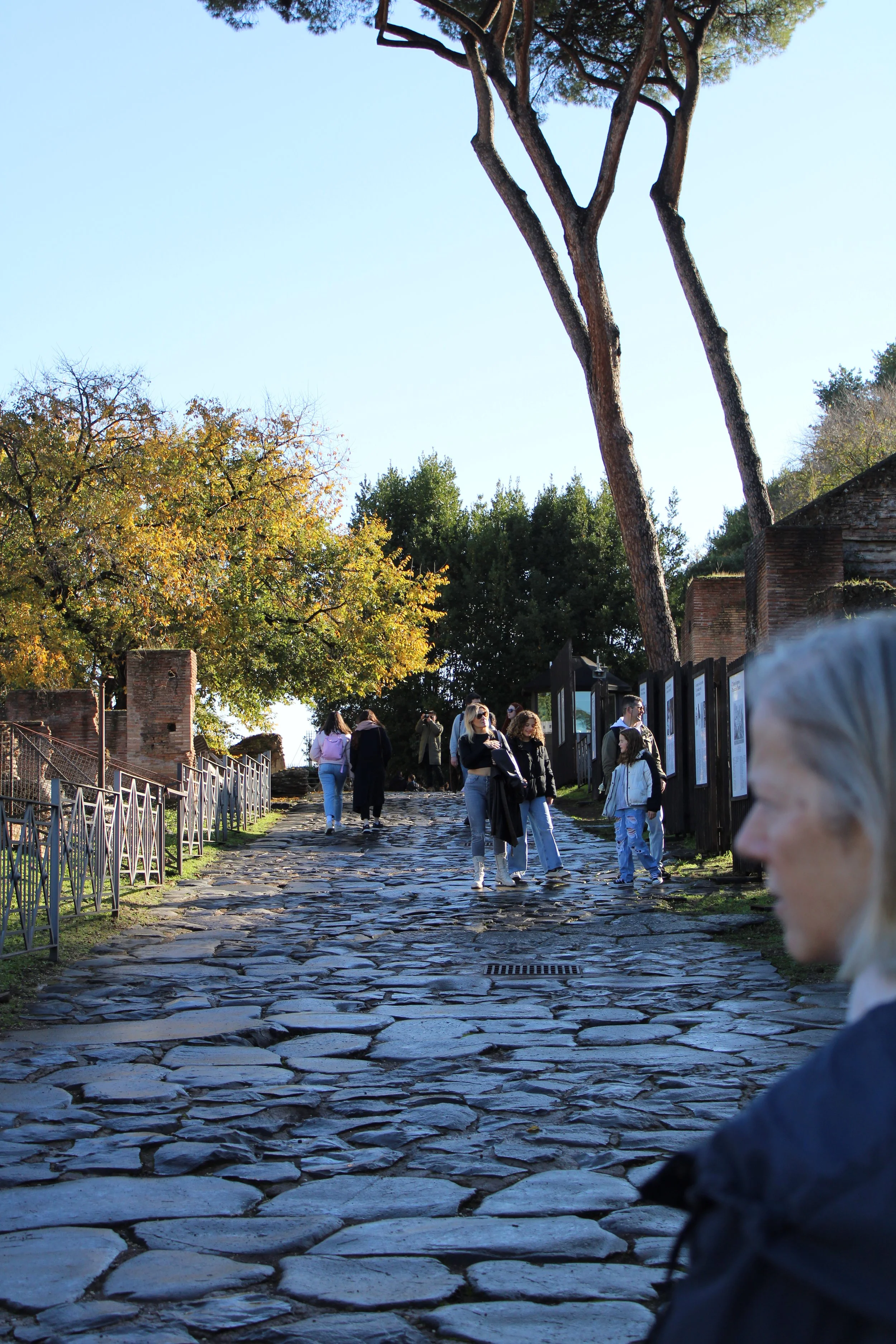 People walking up a cobblestone path surrounded by trees and exhibit panels, with a clear blue sky.