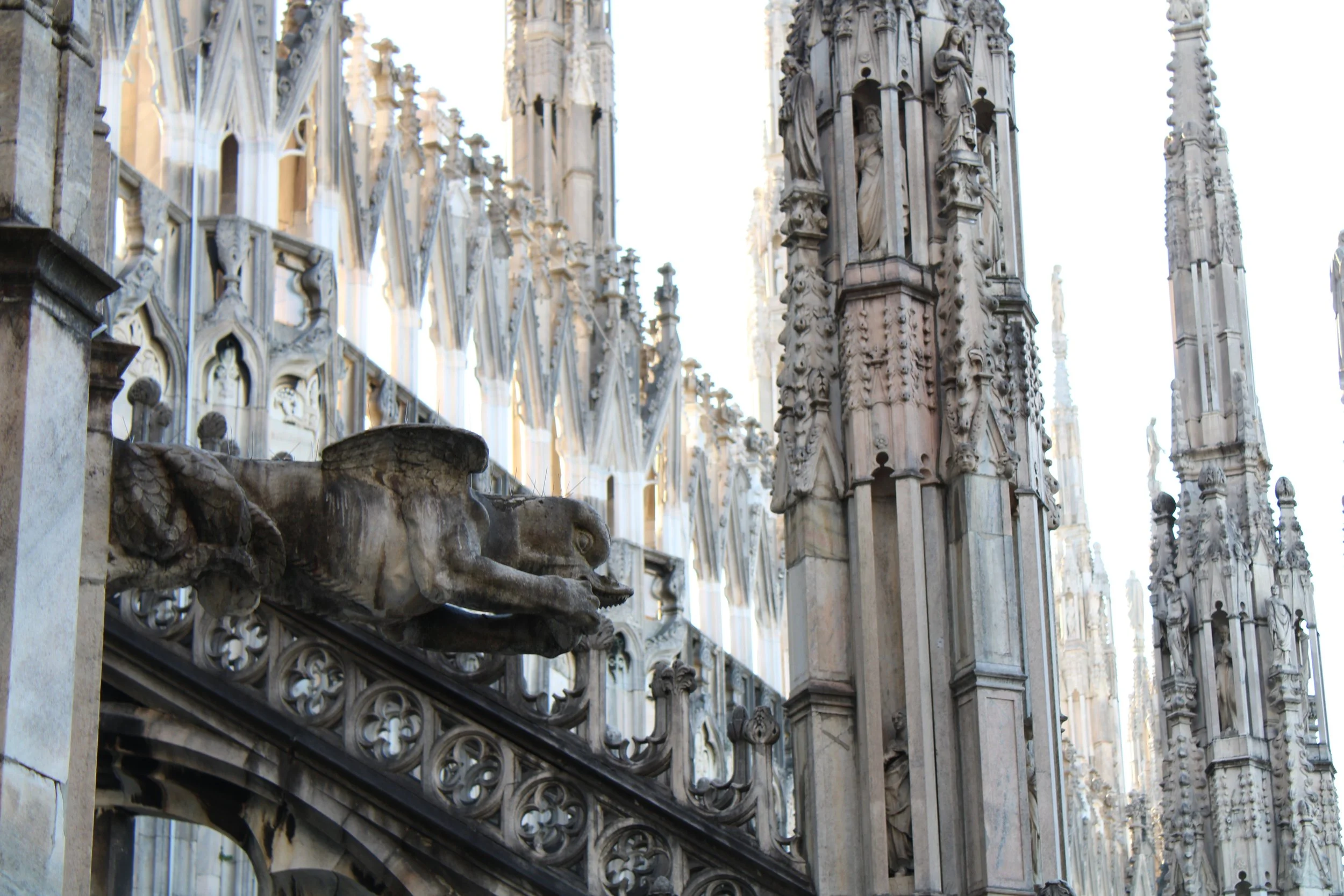 Close-up view of ornate gothic cathedral architecture featuring stone gargoyles and intricate sculptures on the exterior of a cathedral.