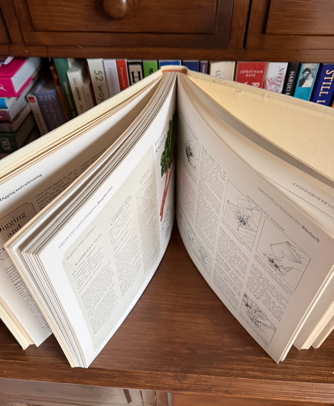 Screenshot 2026-01-11 at 12.04.00.png