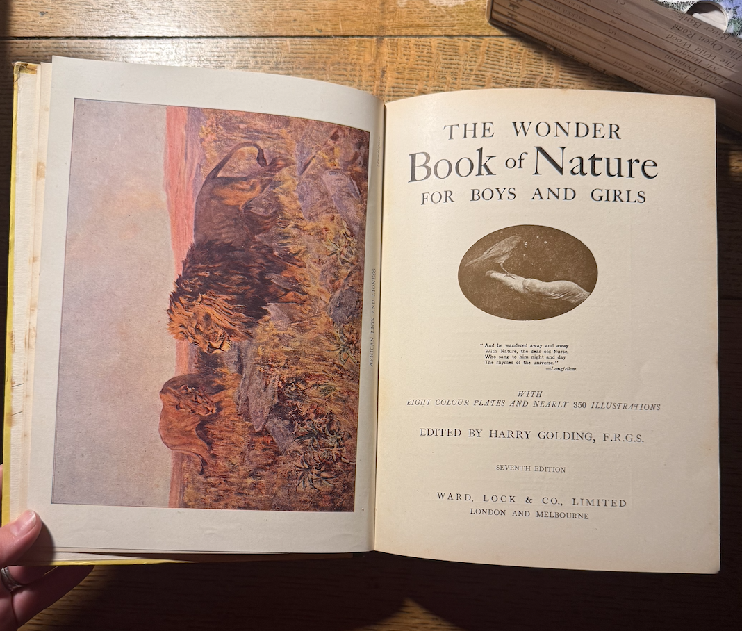 Screenshot 2026-02-08 at 20.05.10.png